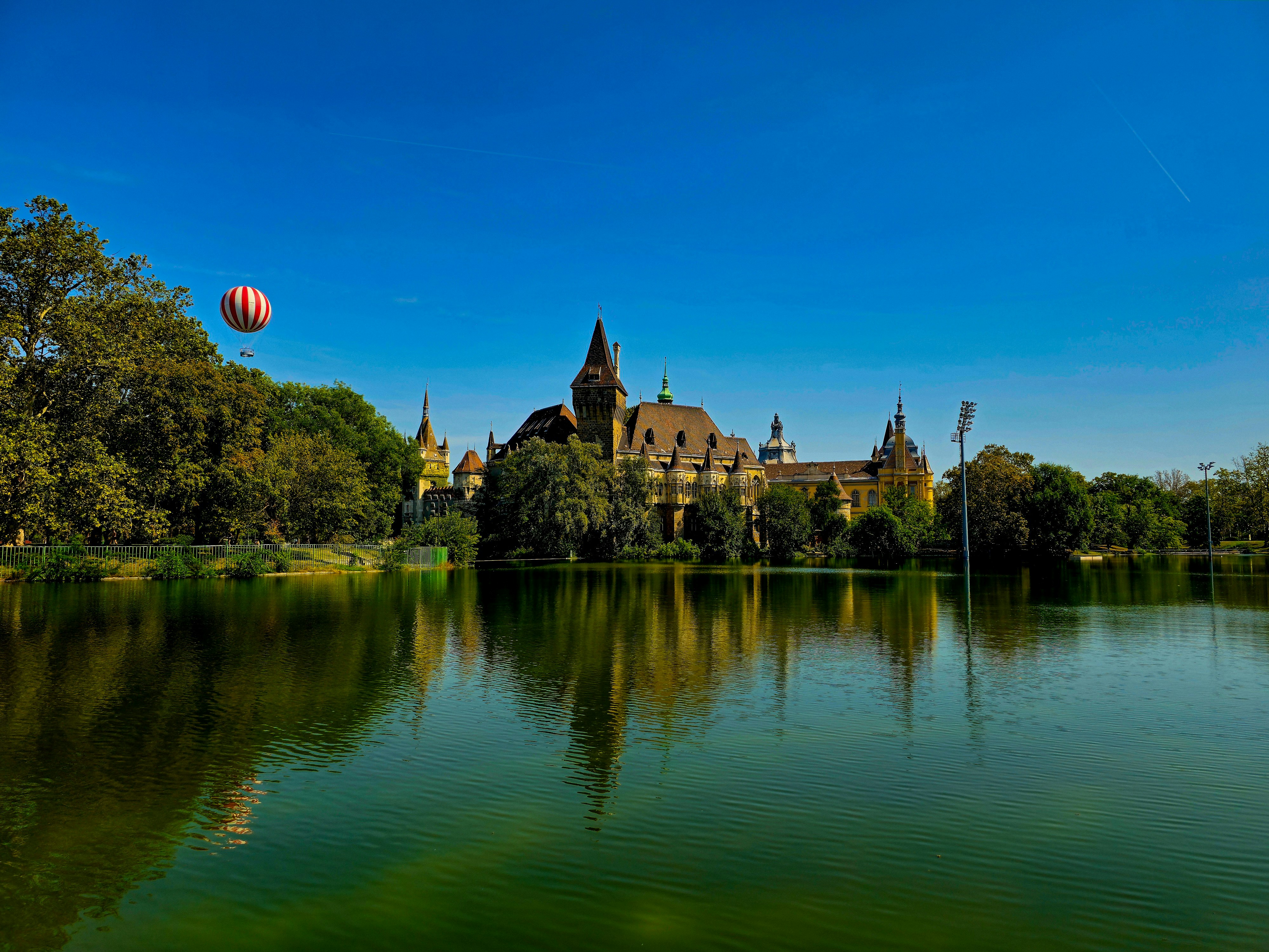 Photo by shadows_yard