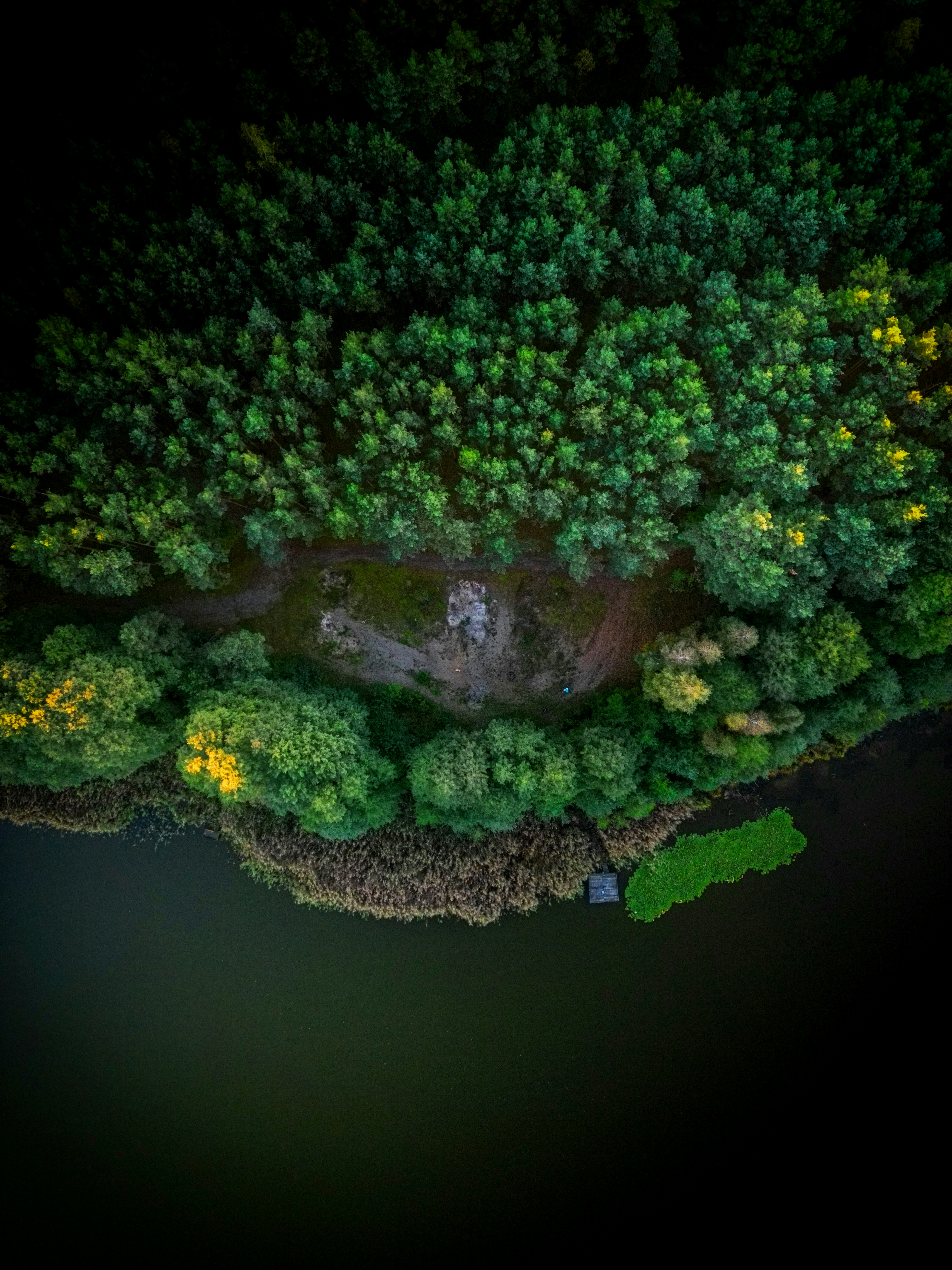 Photo by shadows_yard