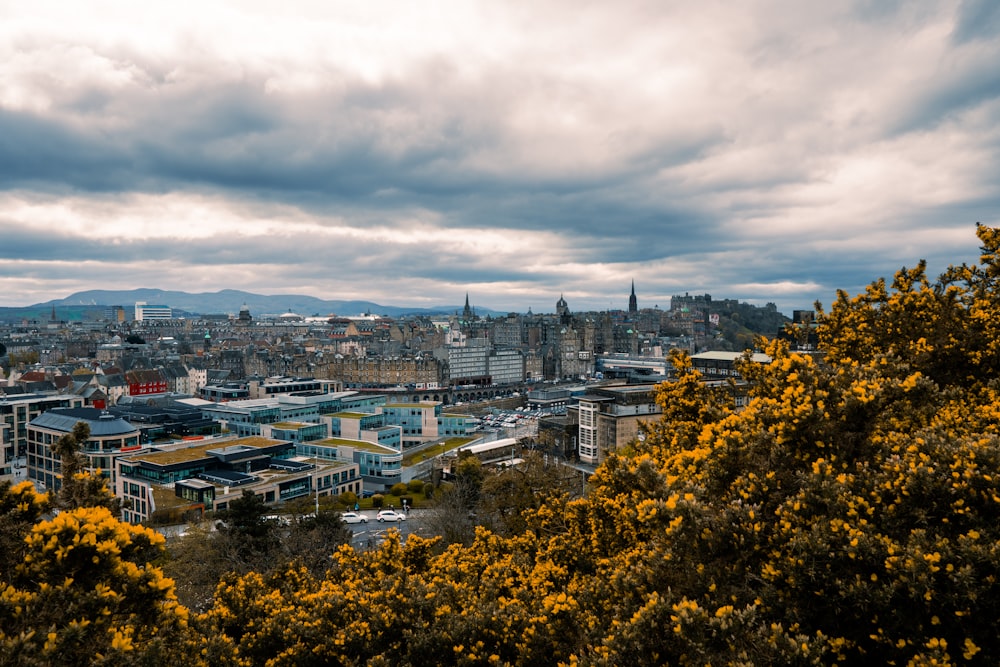 a view of a city from the top of a hill