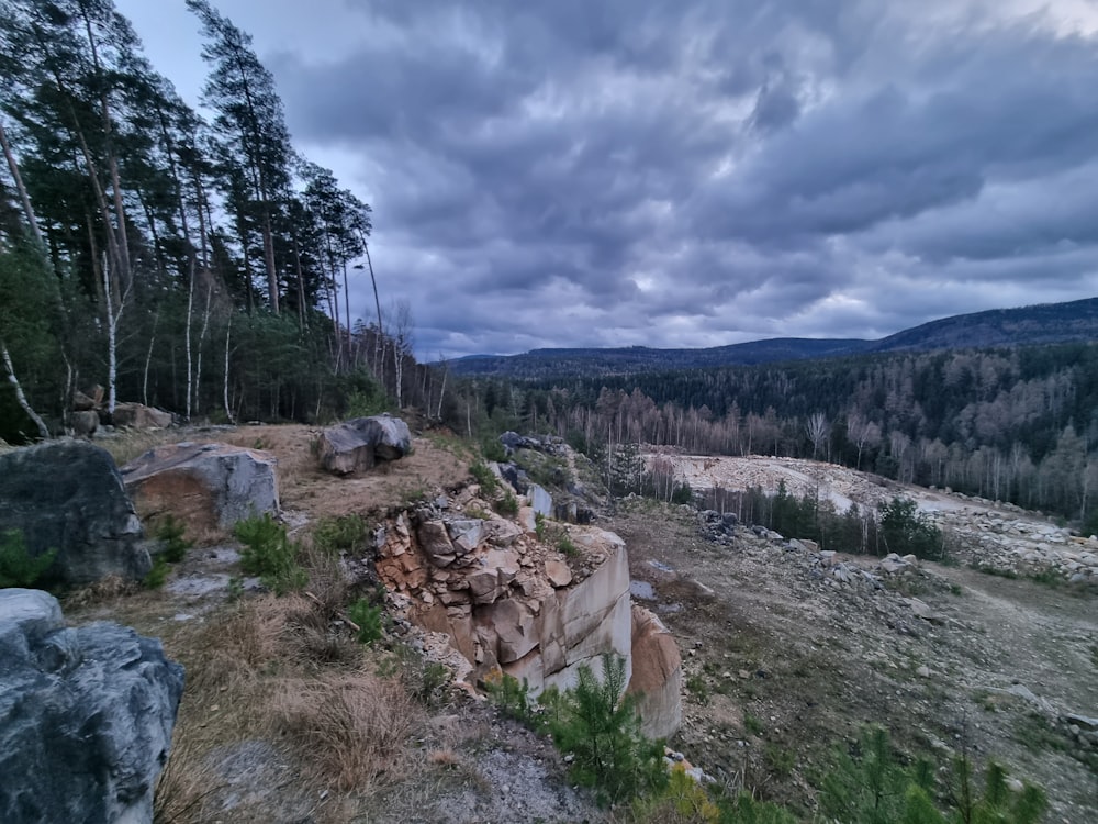 a view of a rocky outcropping in the middle of a forest