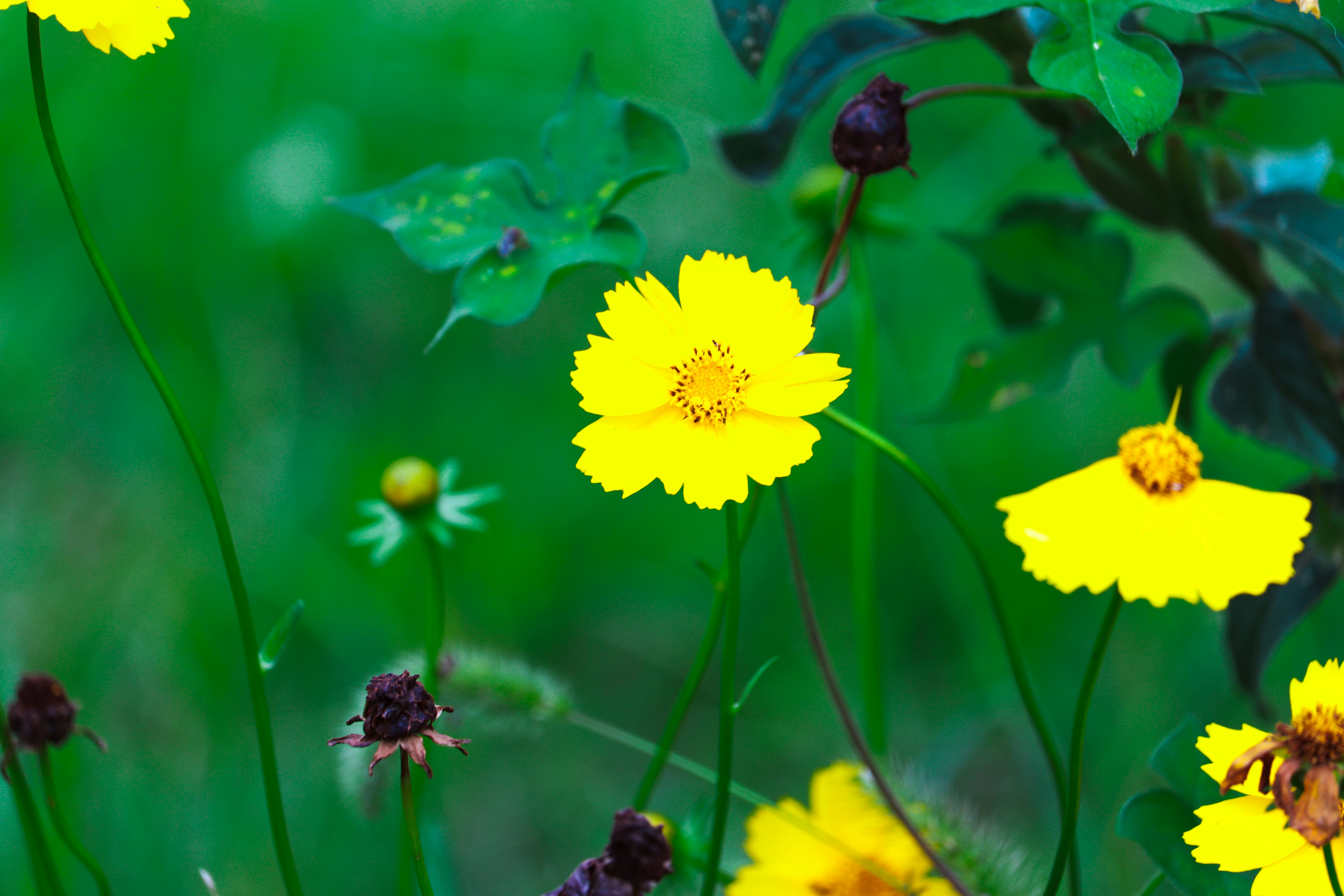 Photo by love4ladybug_pic