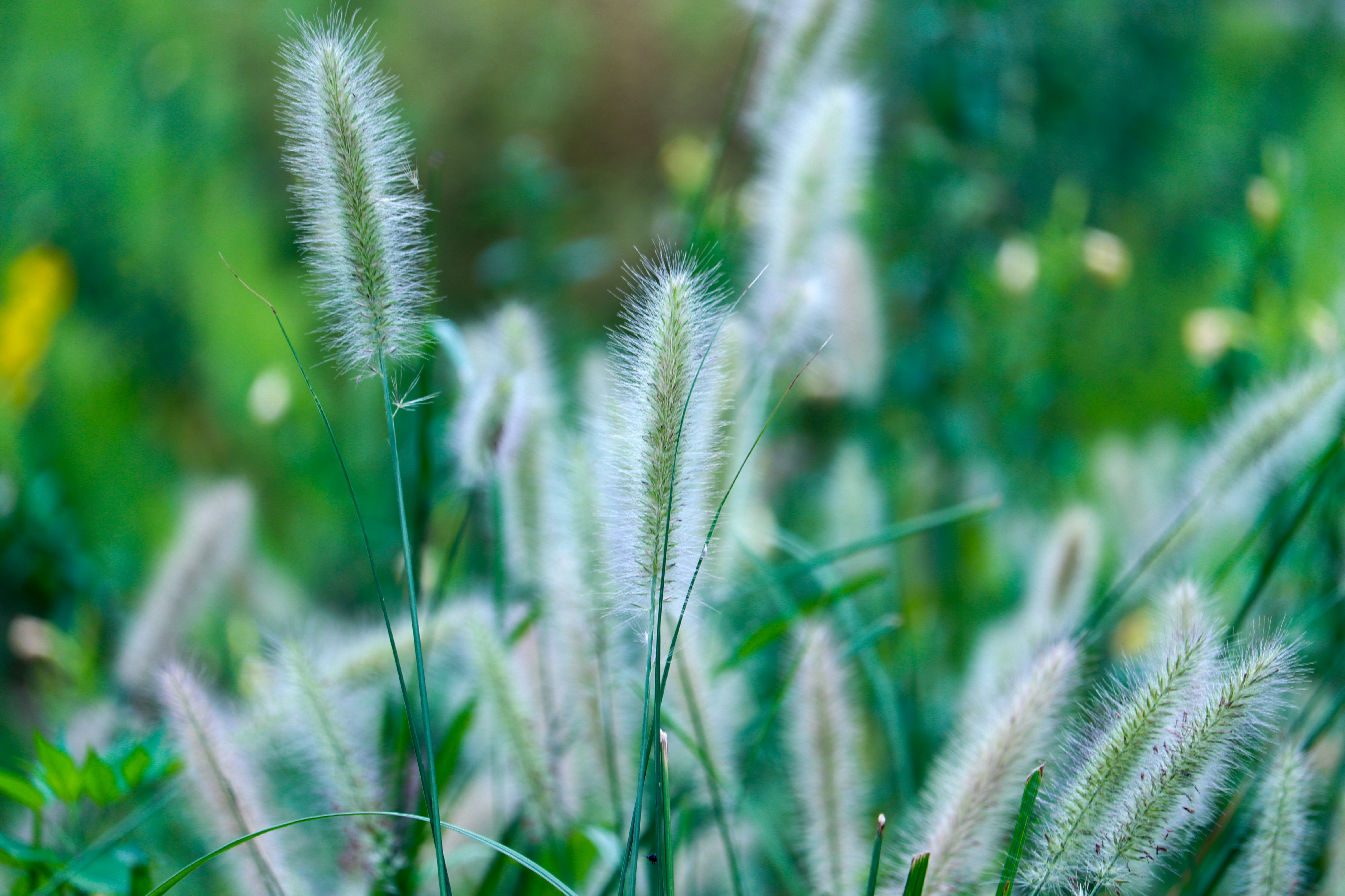 Photo by love4ladybug_pic