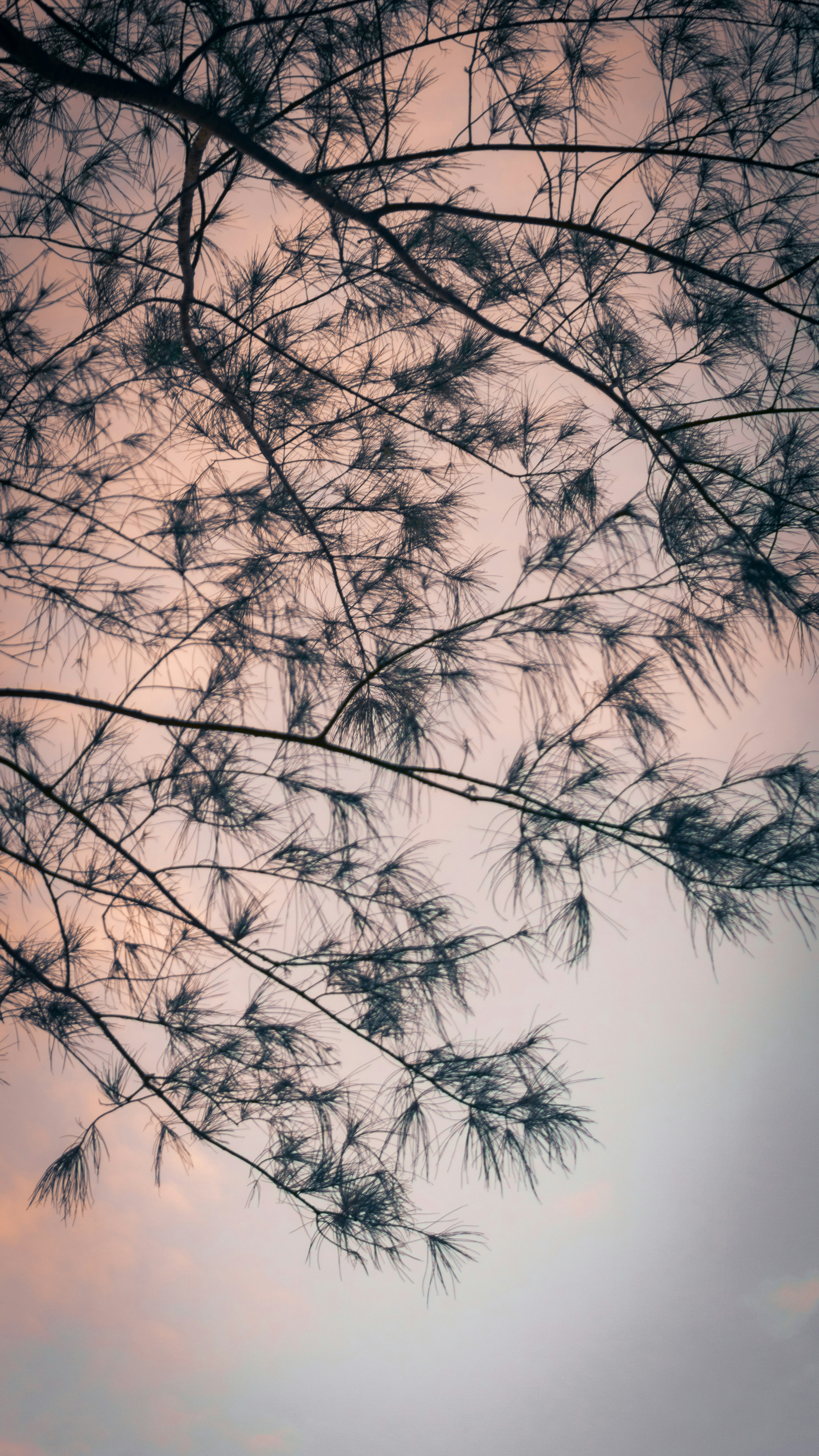 Photo by deafebrianoyuvica