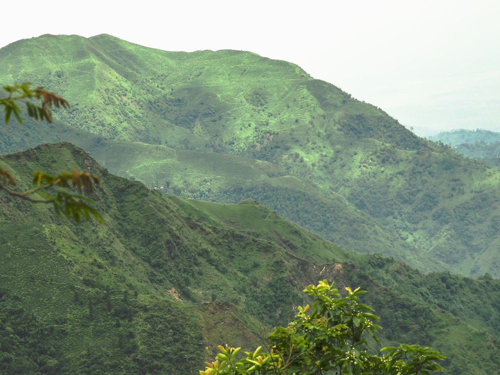 une vue d’une chaîne de montagnes verdoyante avec des arbres au premier plan