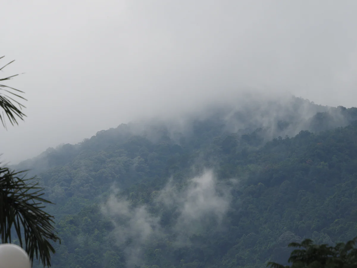 Kalvarayan Hills