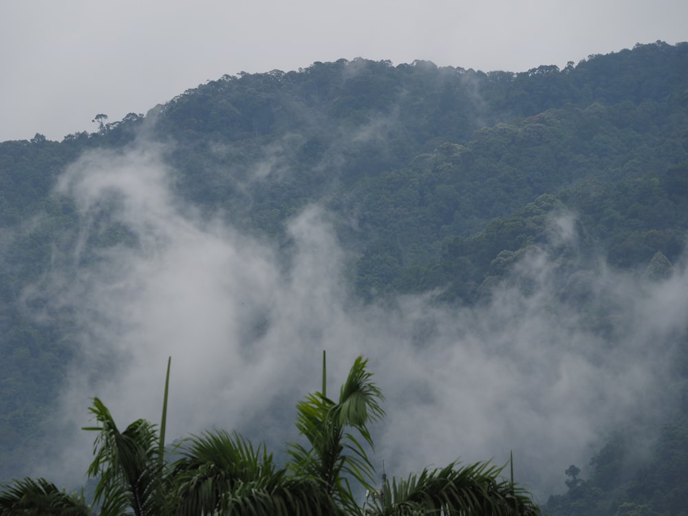 a mountain covered in clouds and trees