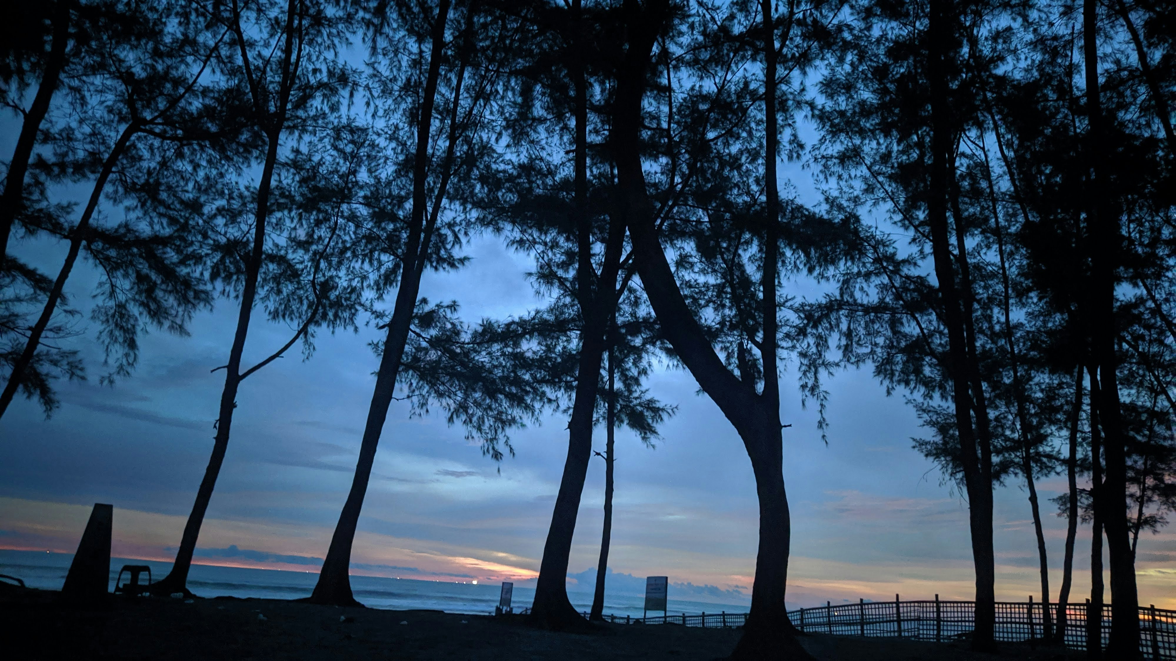 Photo by mustafa_tanim