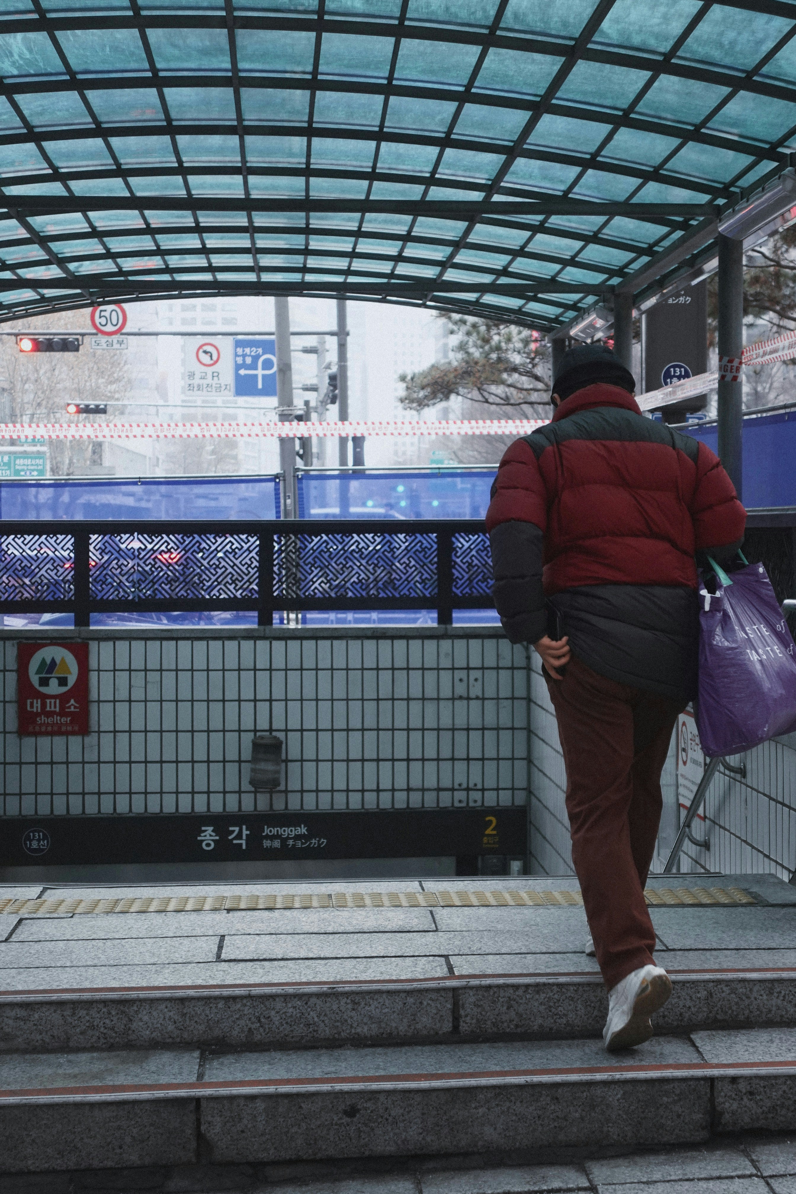 a person with a purple bag walking up some steps