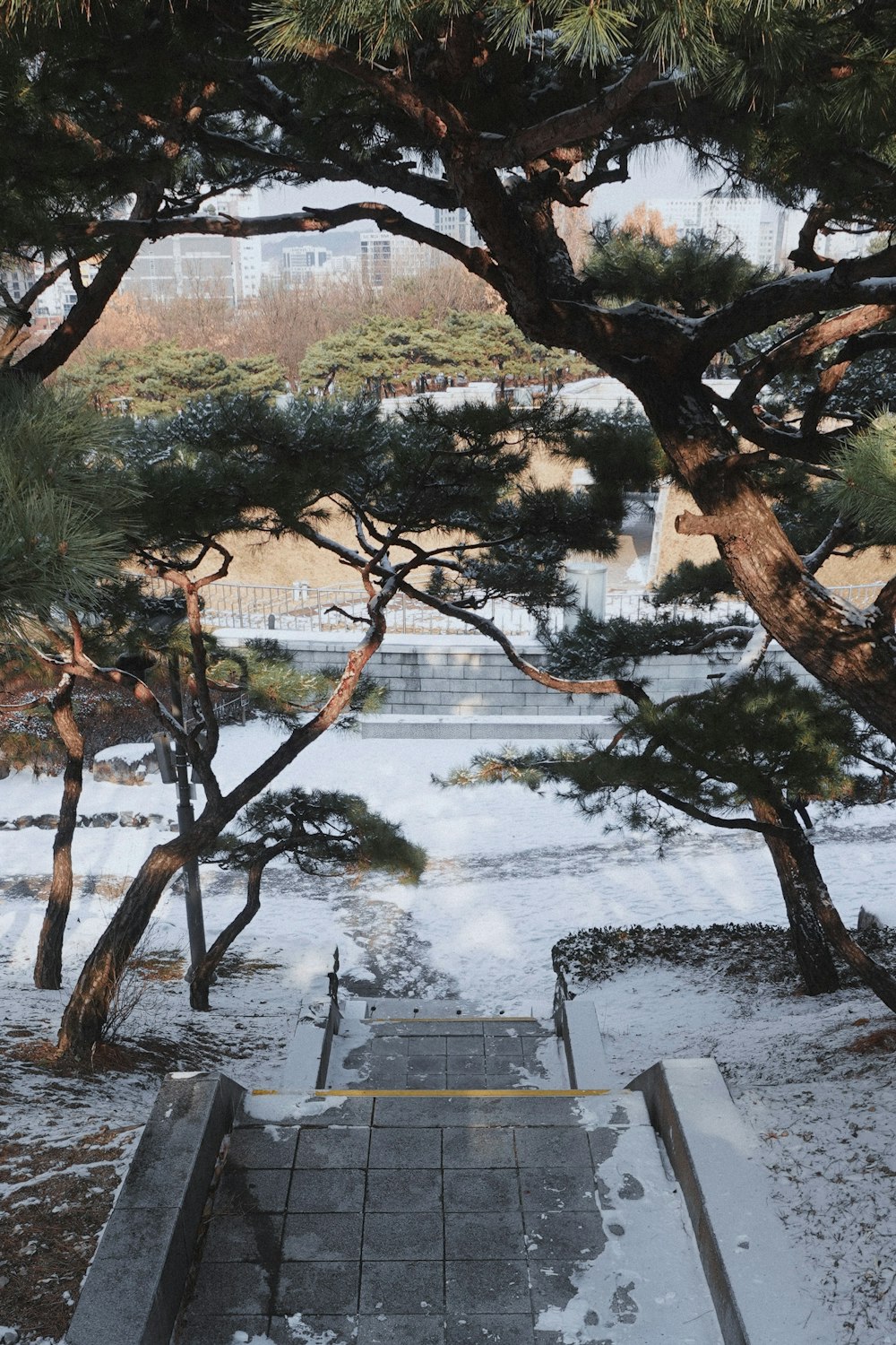 a snow covered park with benches and trees