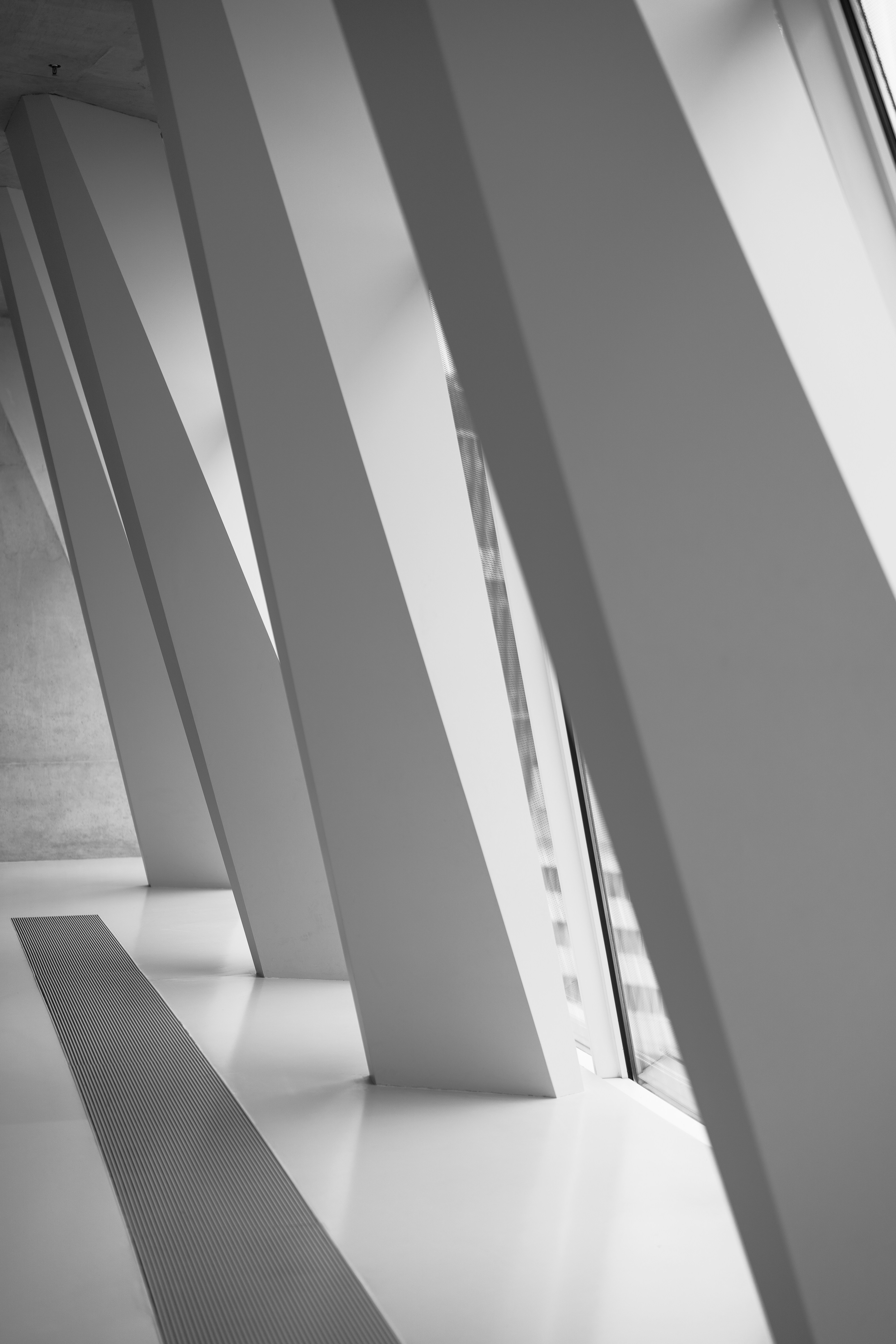 Photo by bangscreative