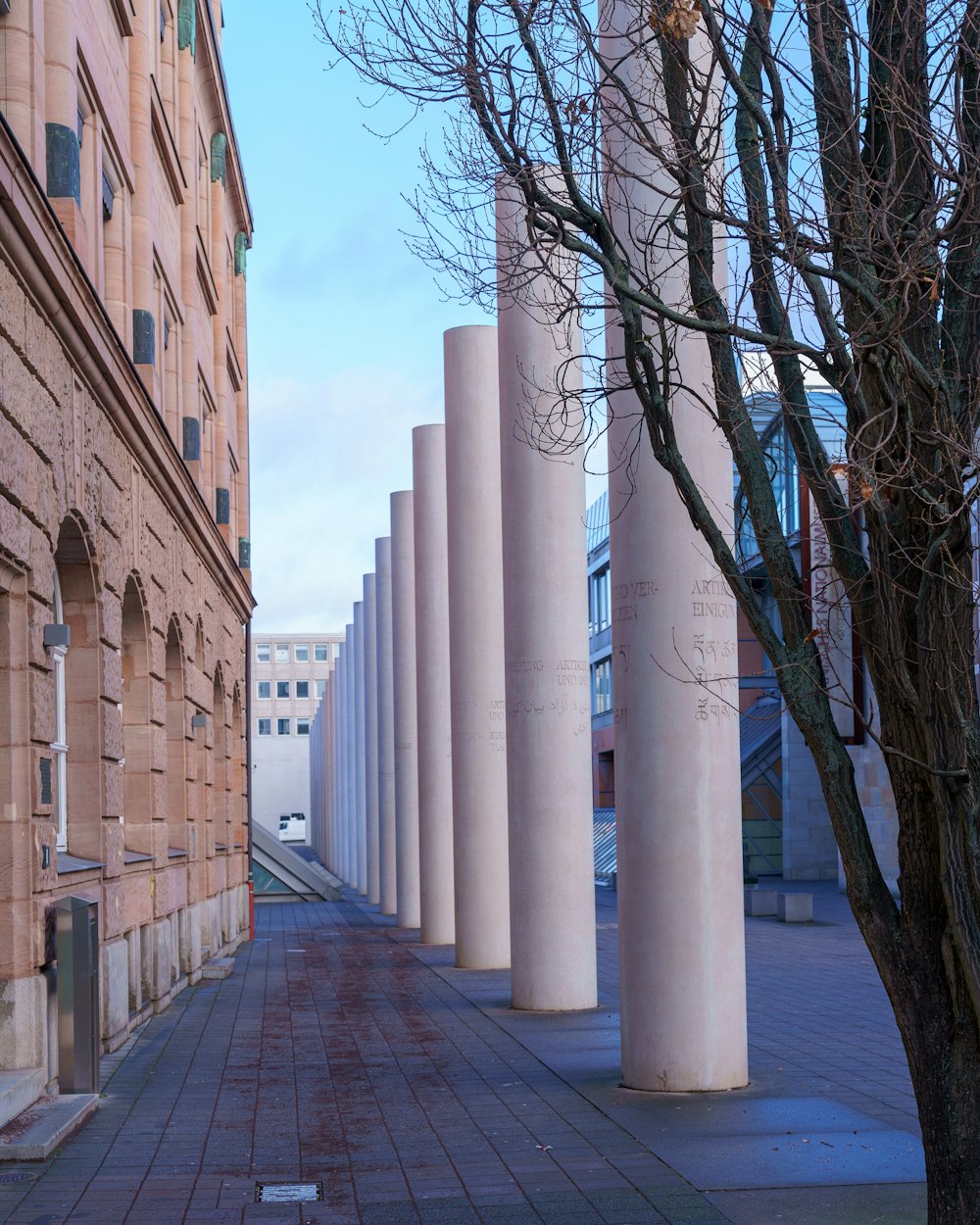 a street lined with tall white pillars next to a tree