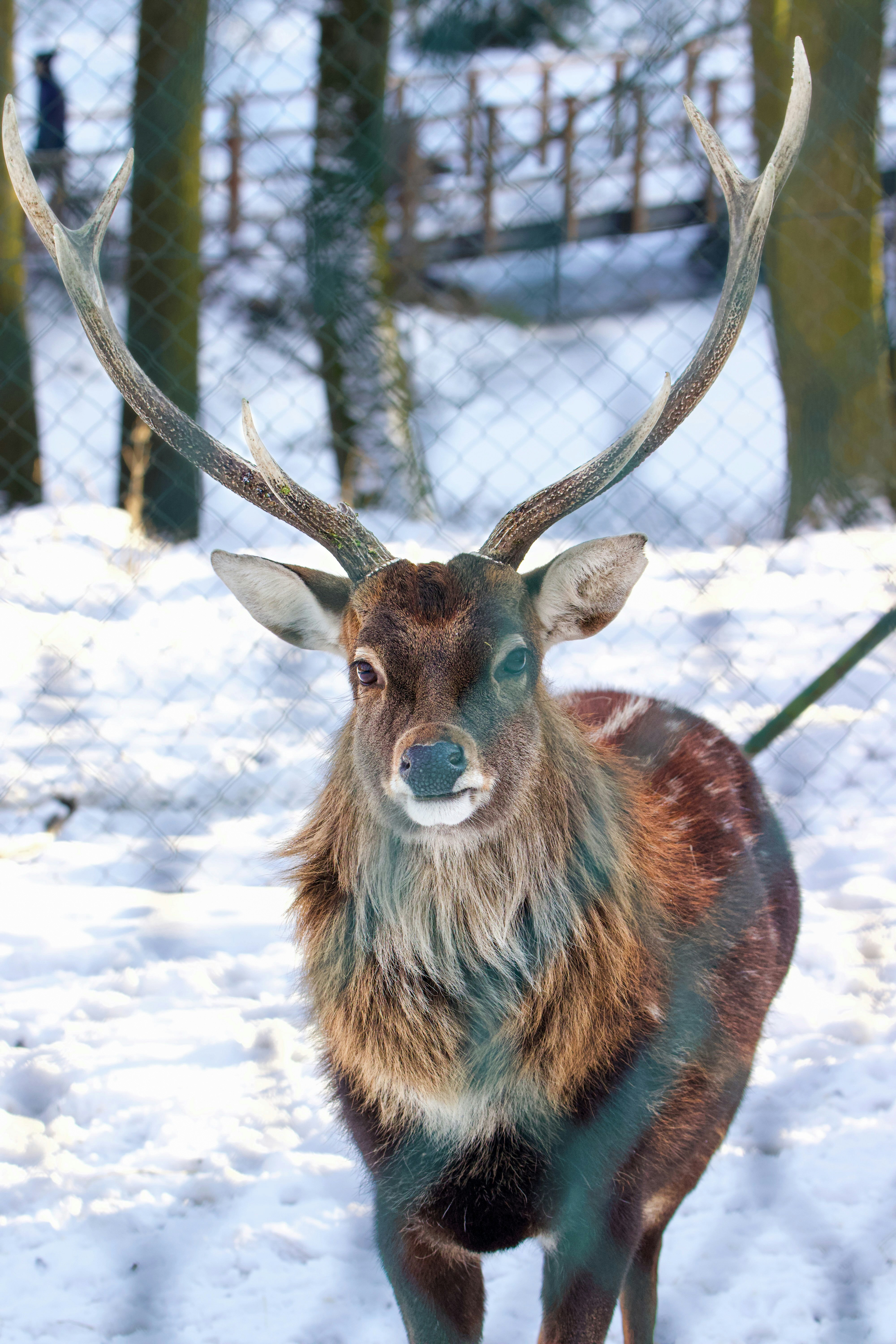 MARKET CALL: Seeing Reindeer & Solid S&P 500 Earnings