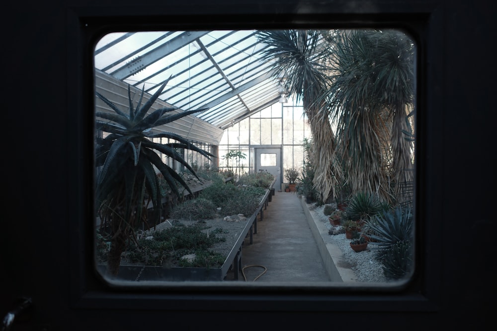 a view of a greenhouse through a window