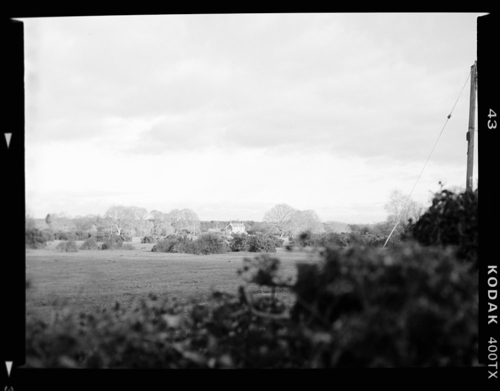 a black and white photo of a field