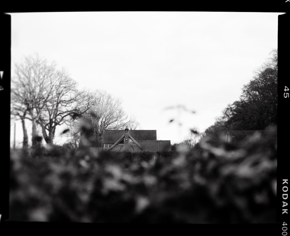 a black and white photo of a house and trees