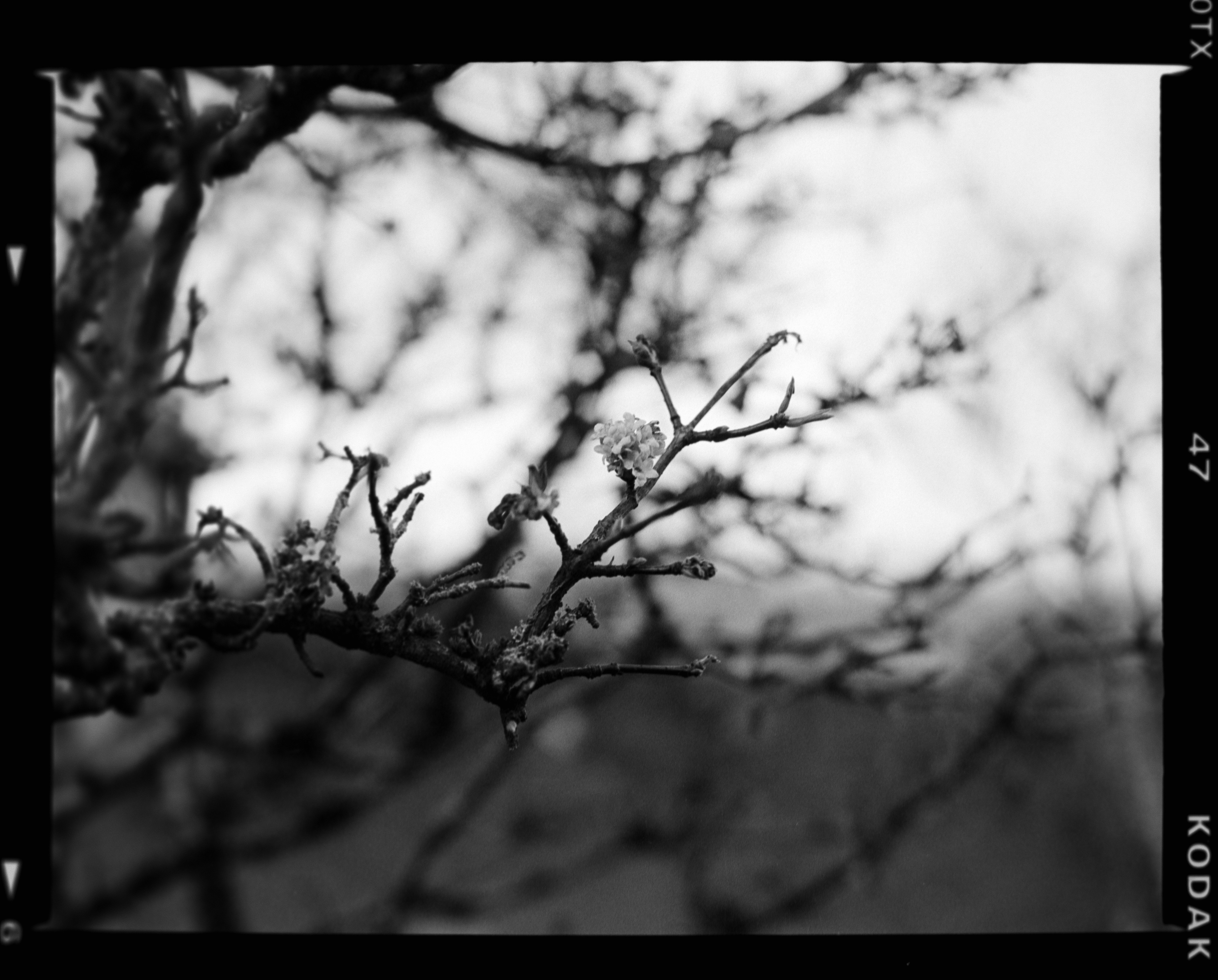 Photo by anniespratt