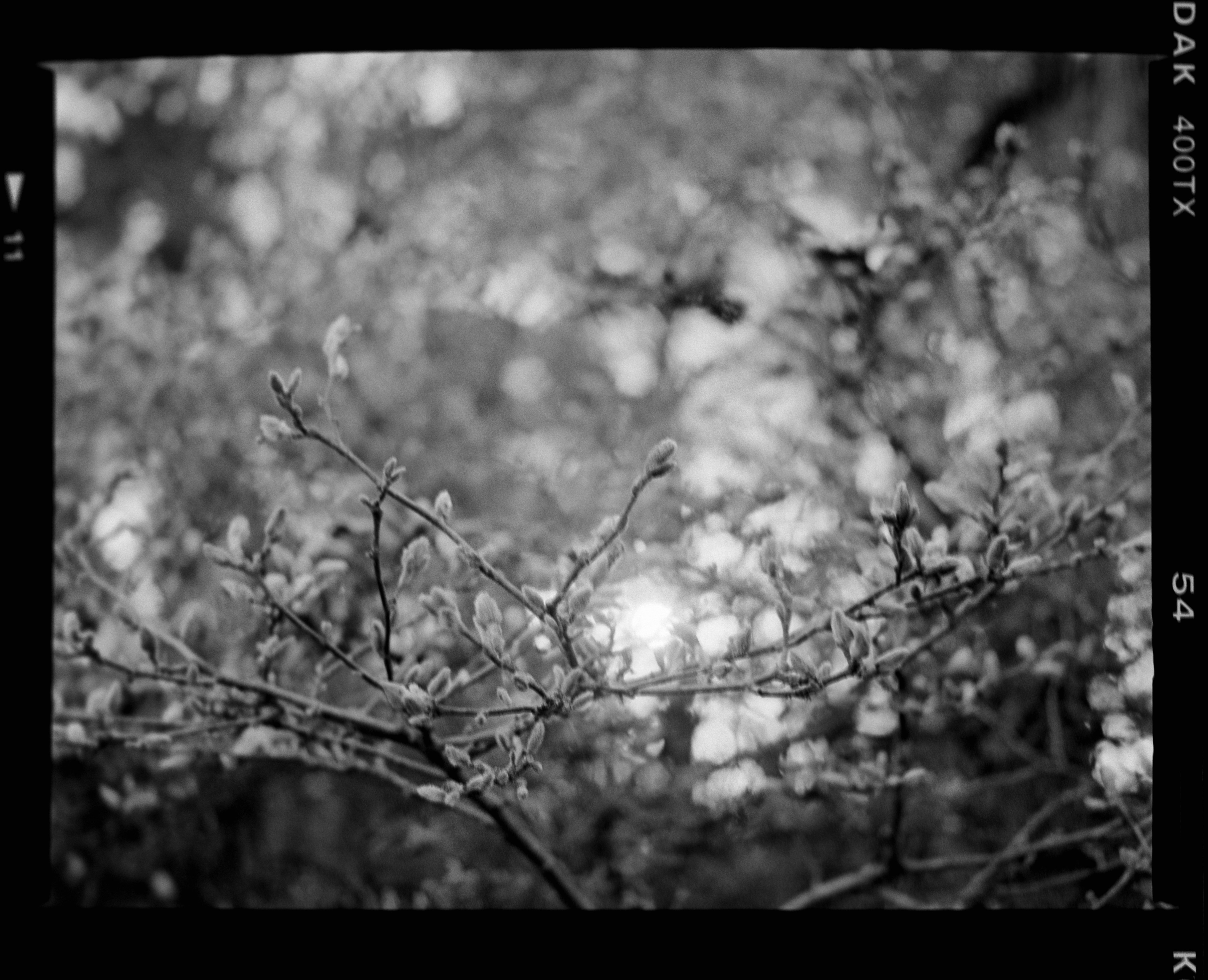 Photo by anniespratt