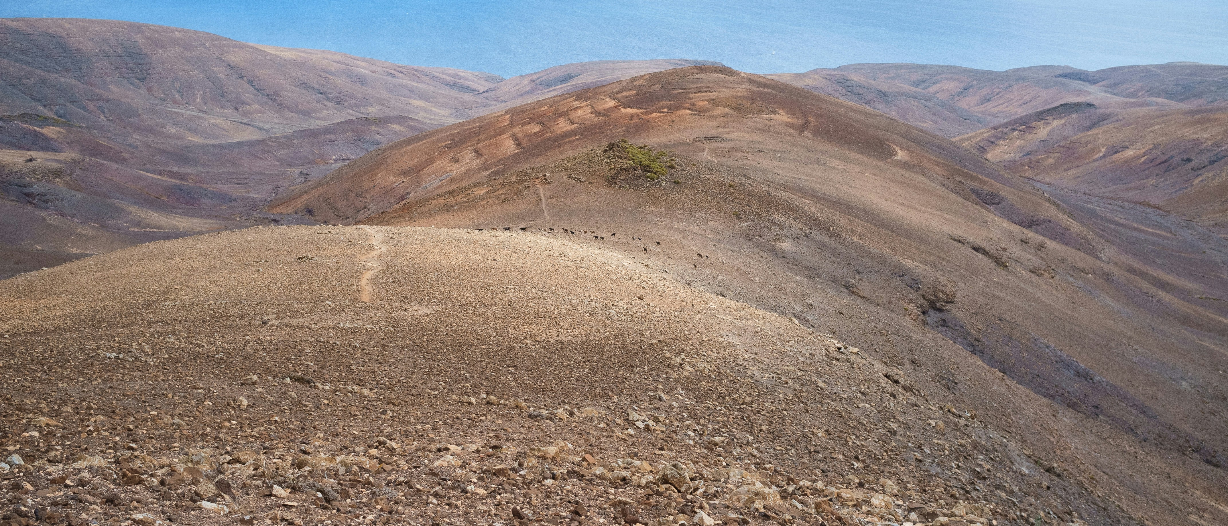 una colina de tierra con un árbol en la cima