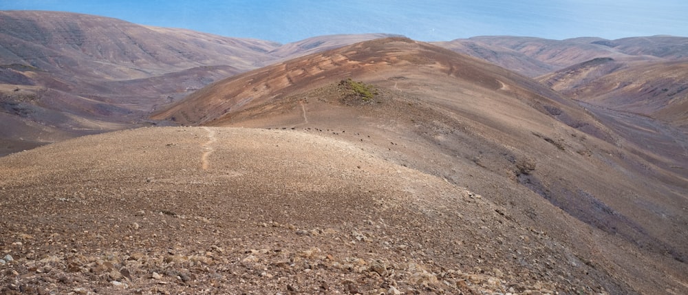 a dirt hill with a tree on top of it