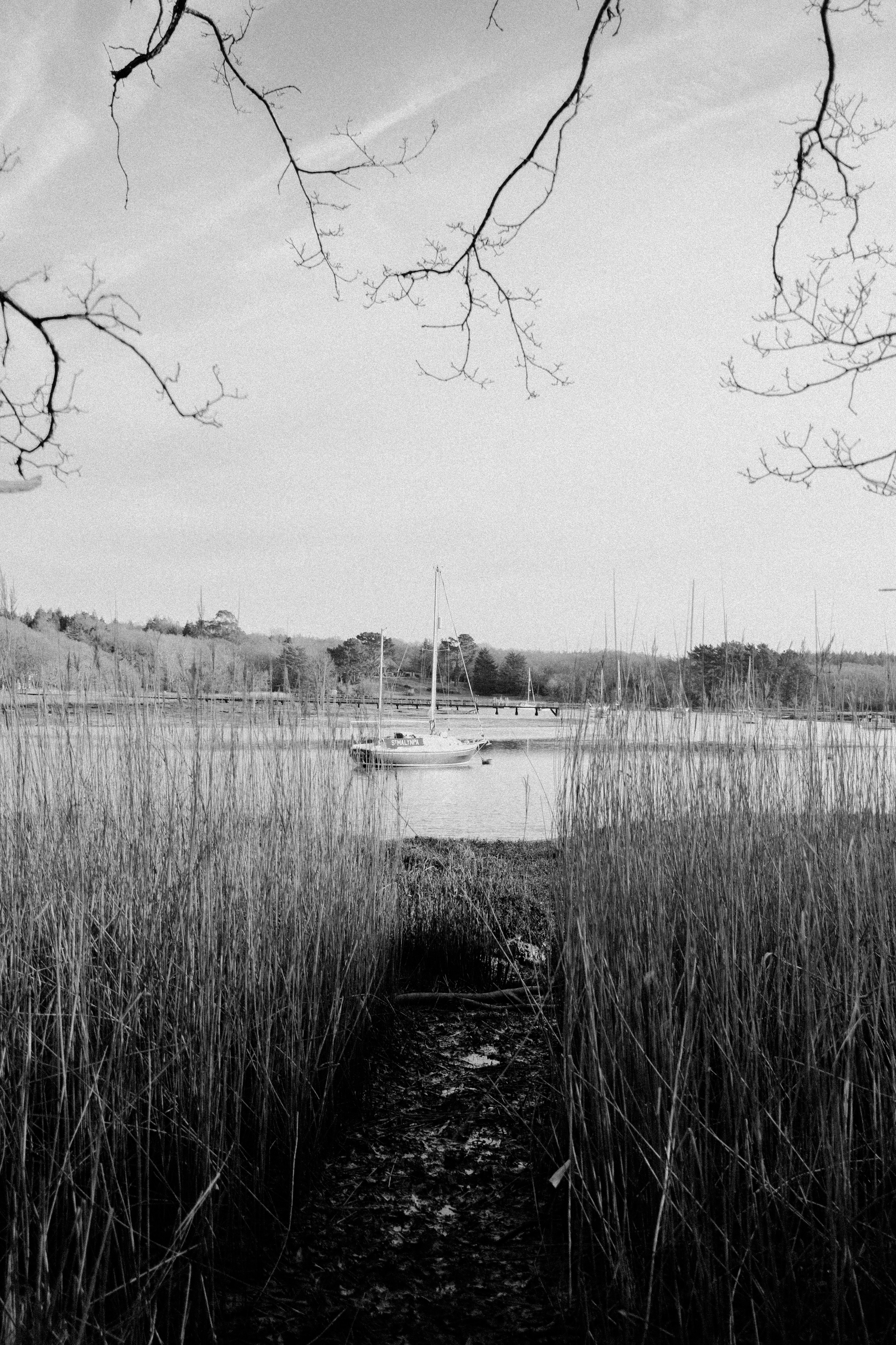 Photo by anniespratt