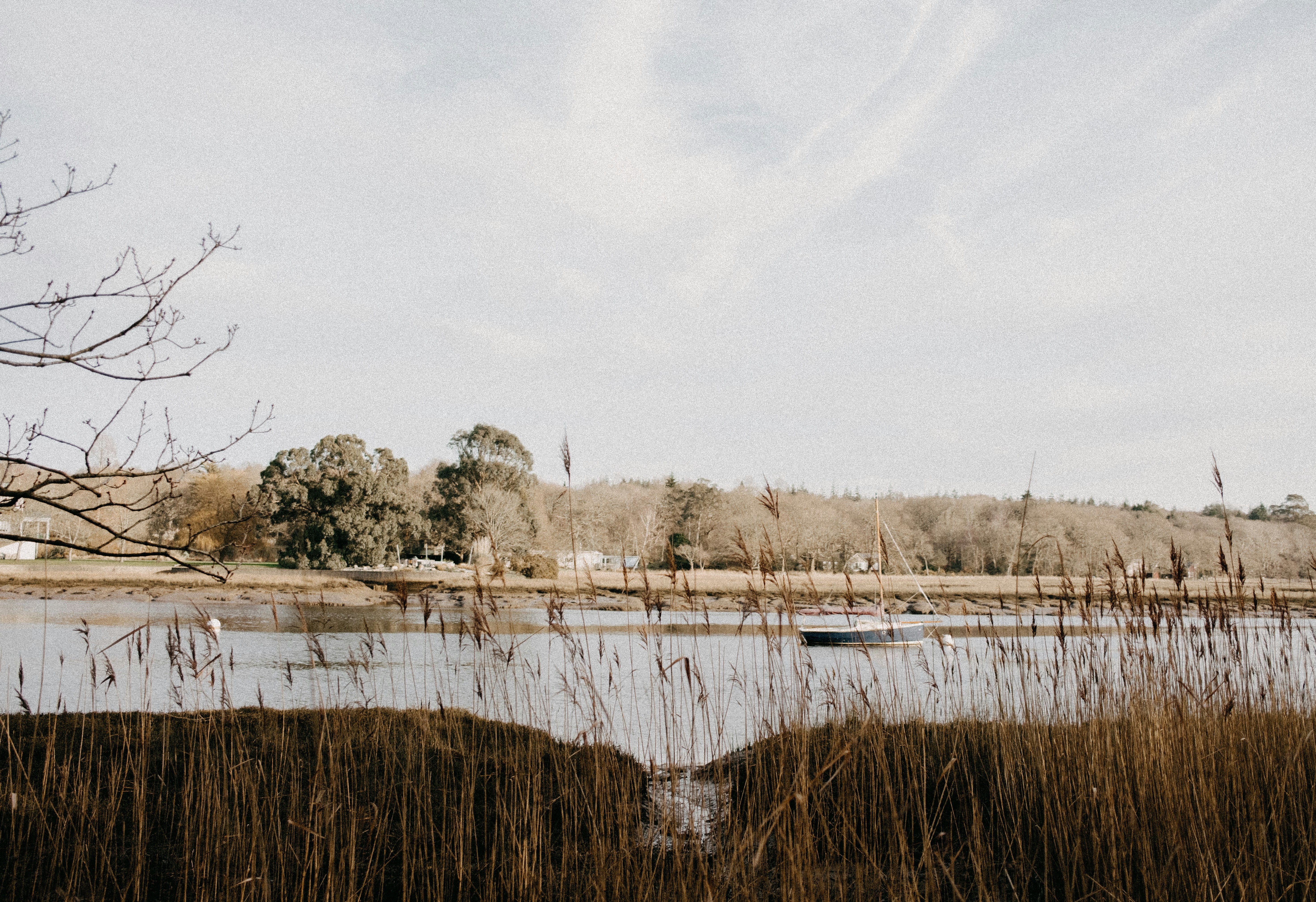 Photo by anniespratt