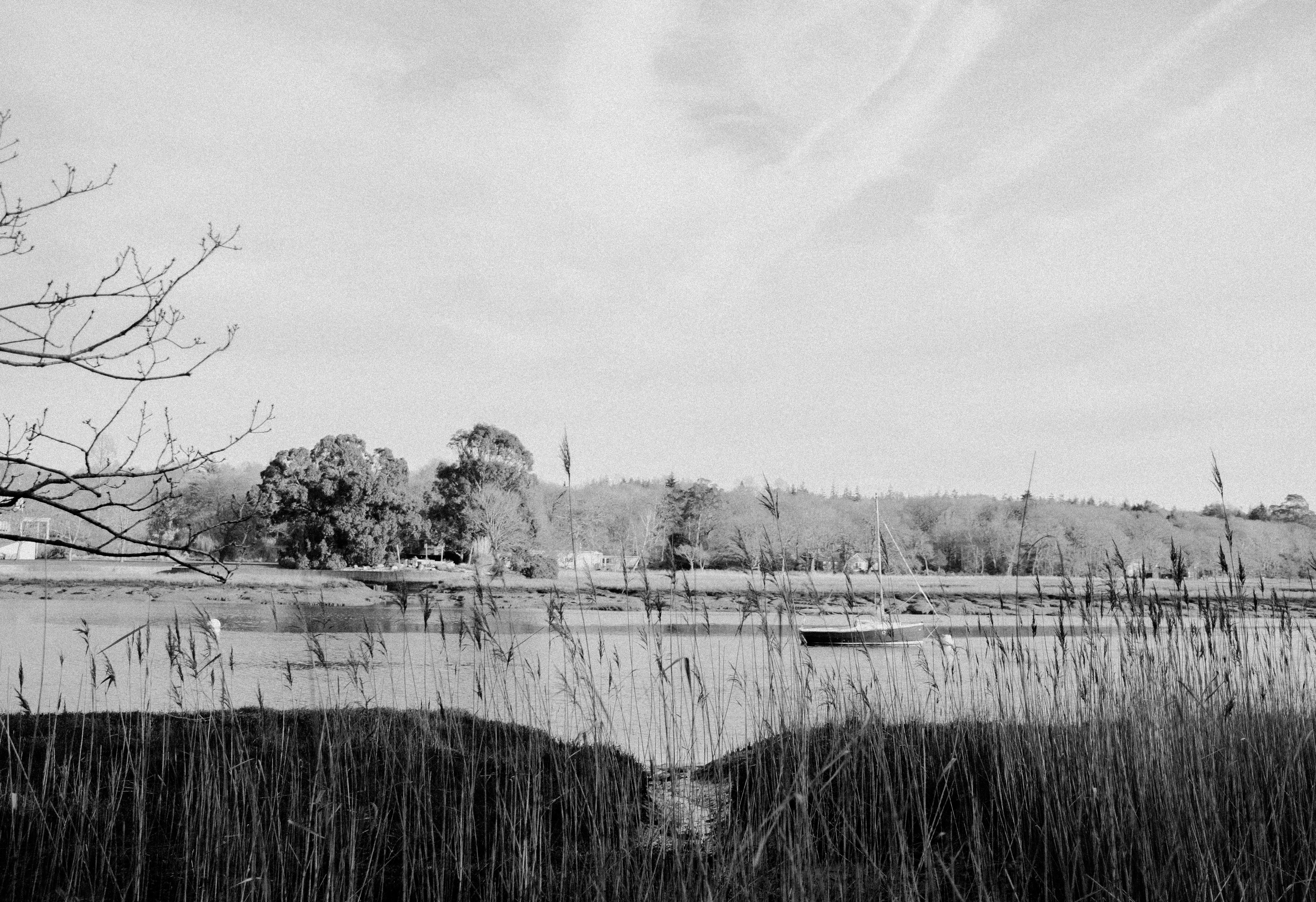 Photo by anniespratt