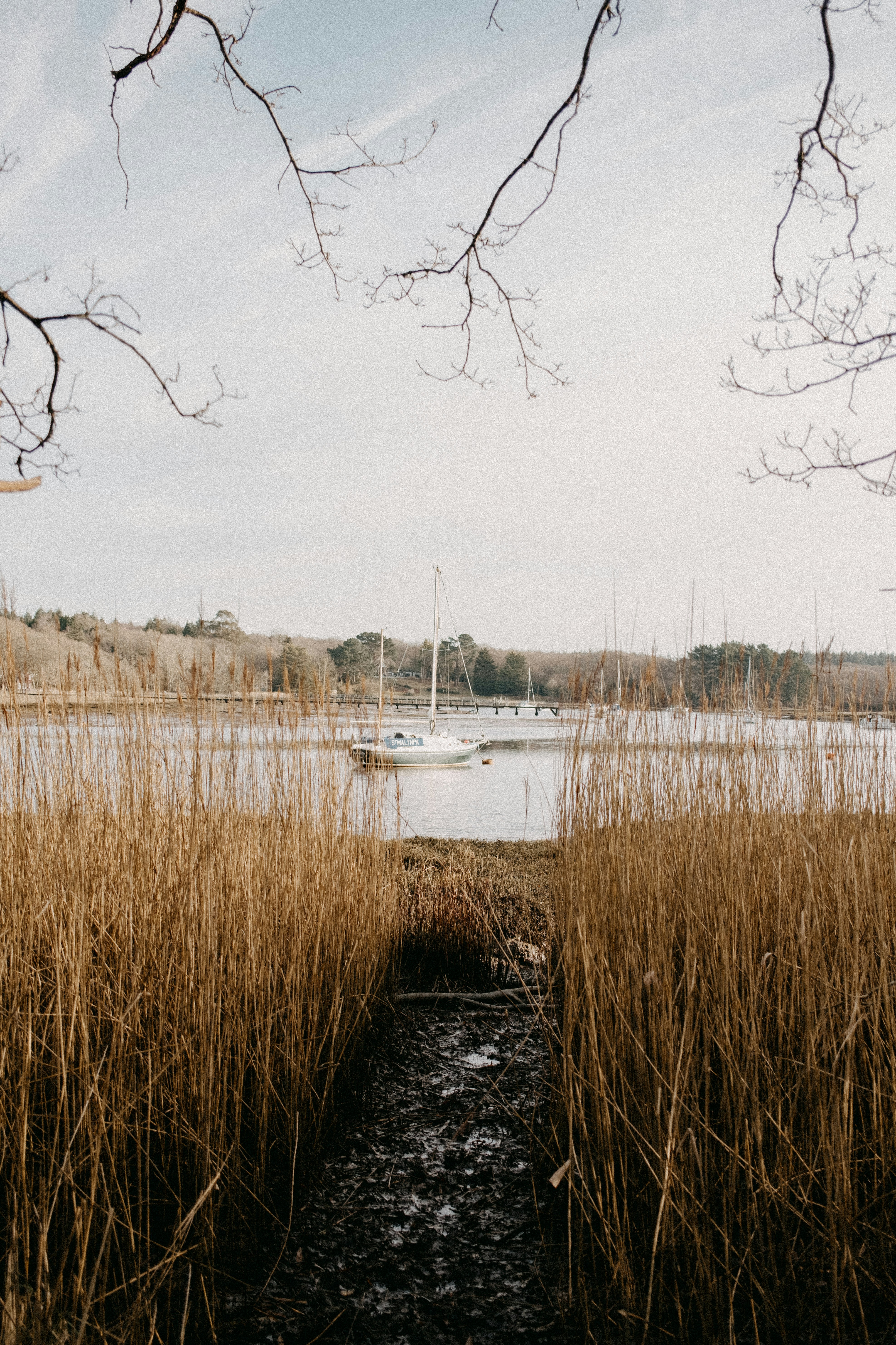 Photo by anniespratt