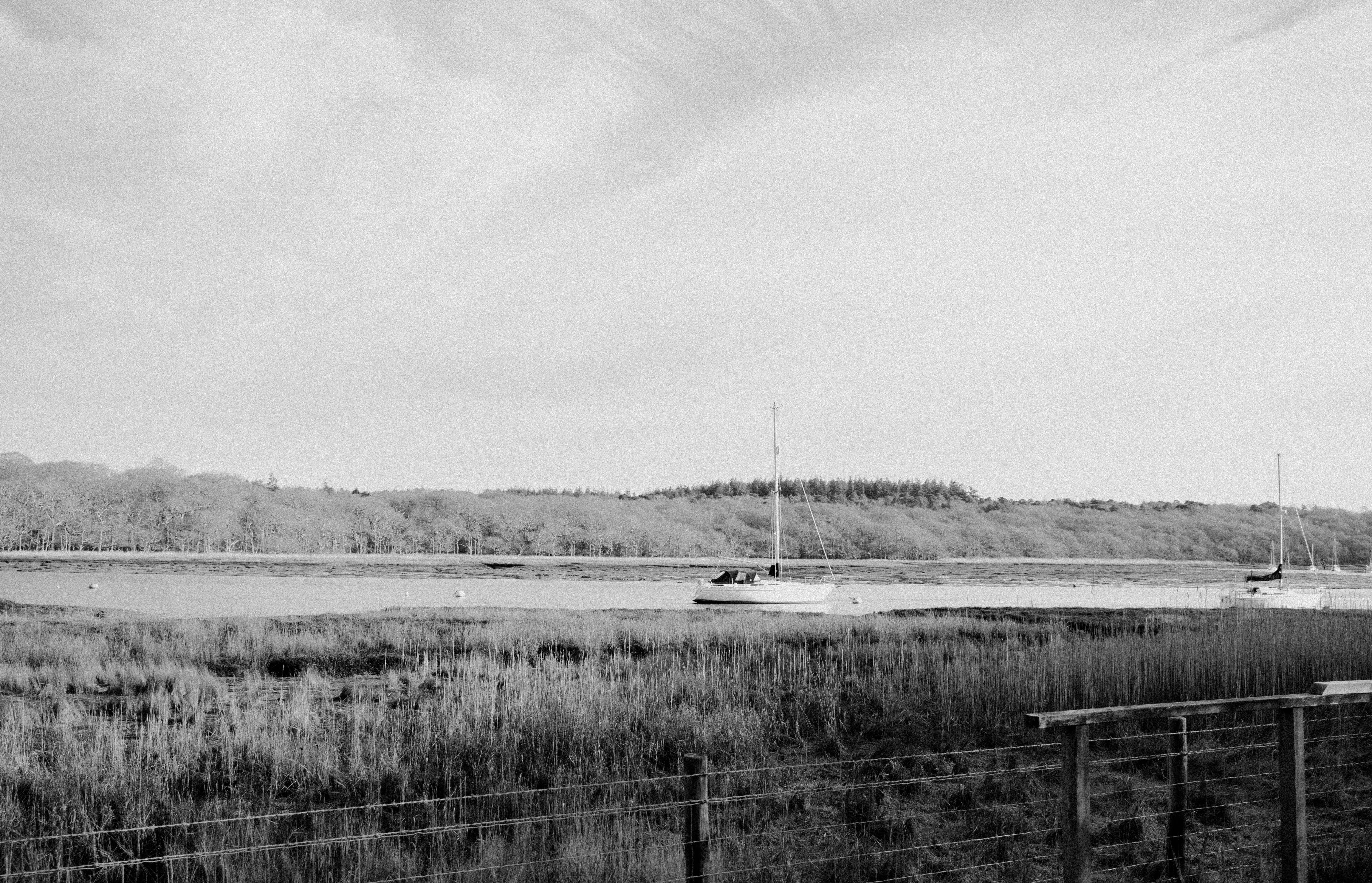 Photo by anniespratt