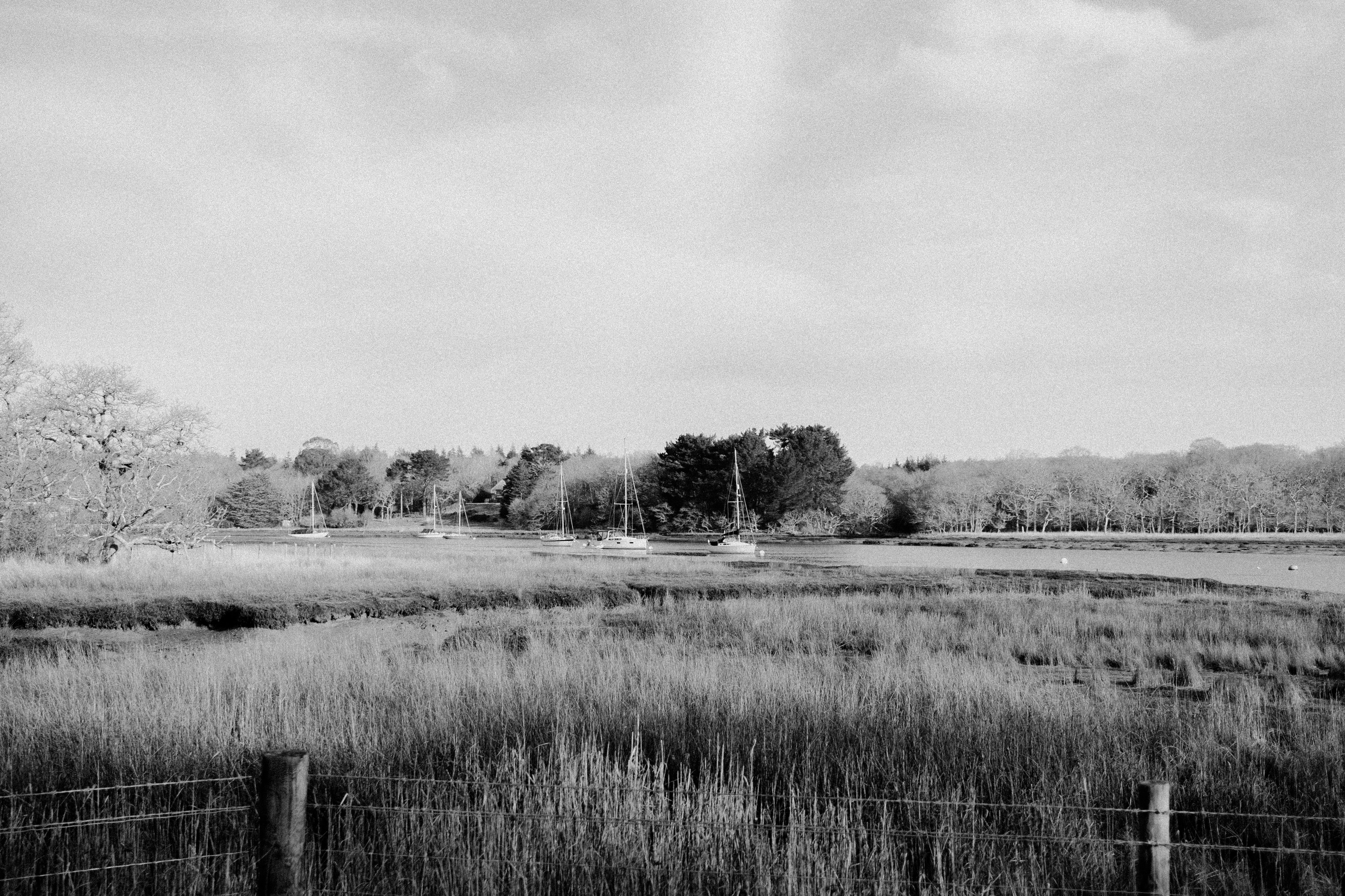 Photo by anniespratt