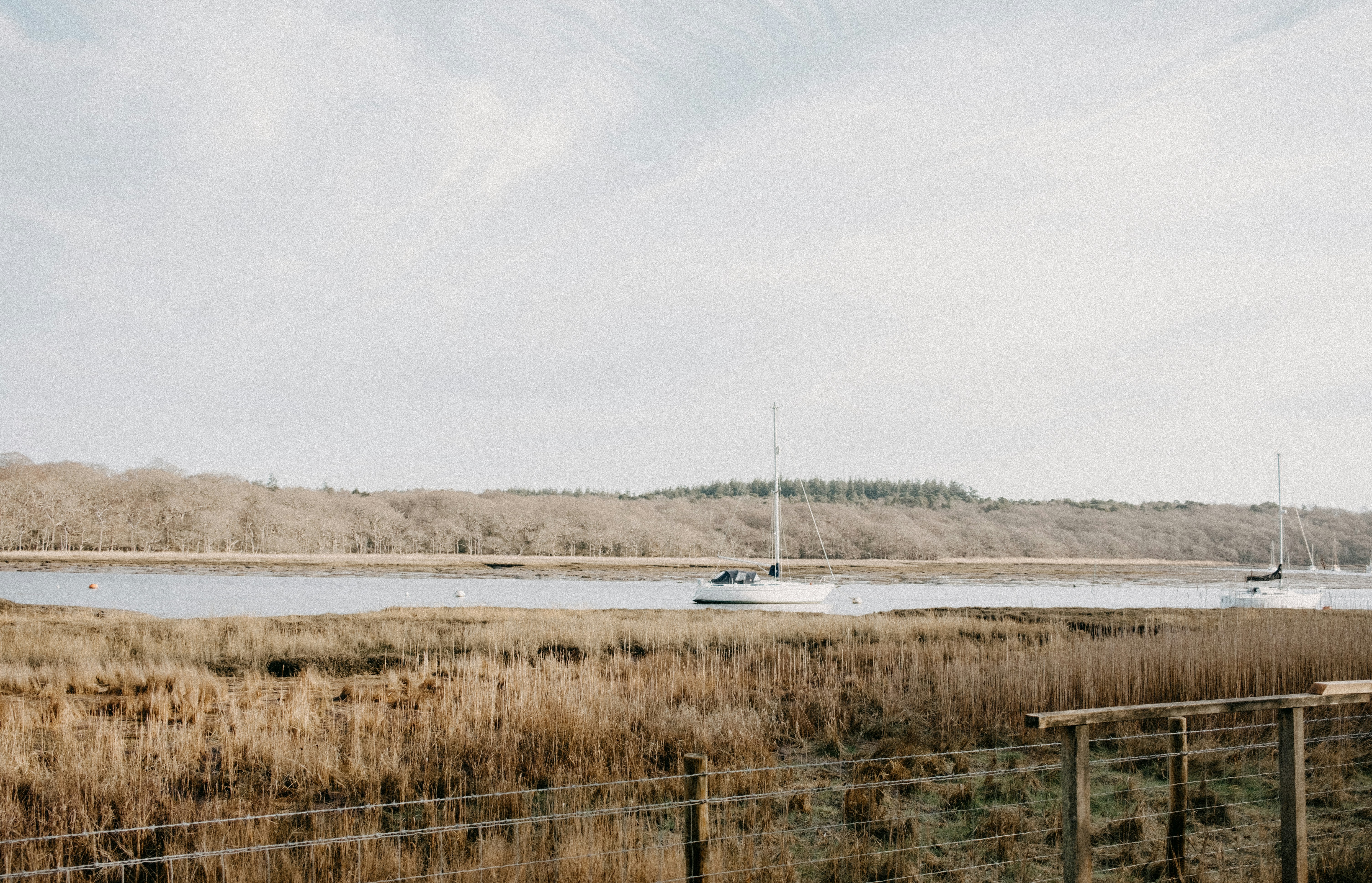 Photo by anniespratt