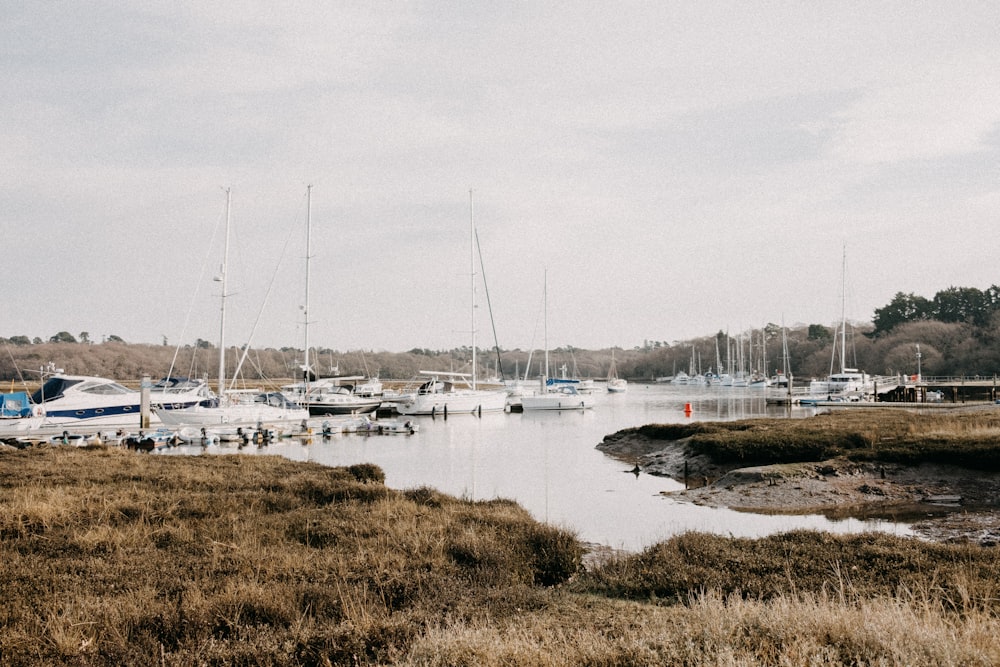 a body of water filled with lots of boats