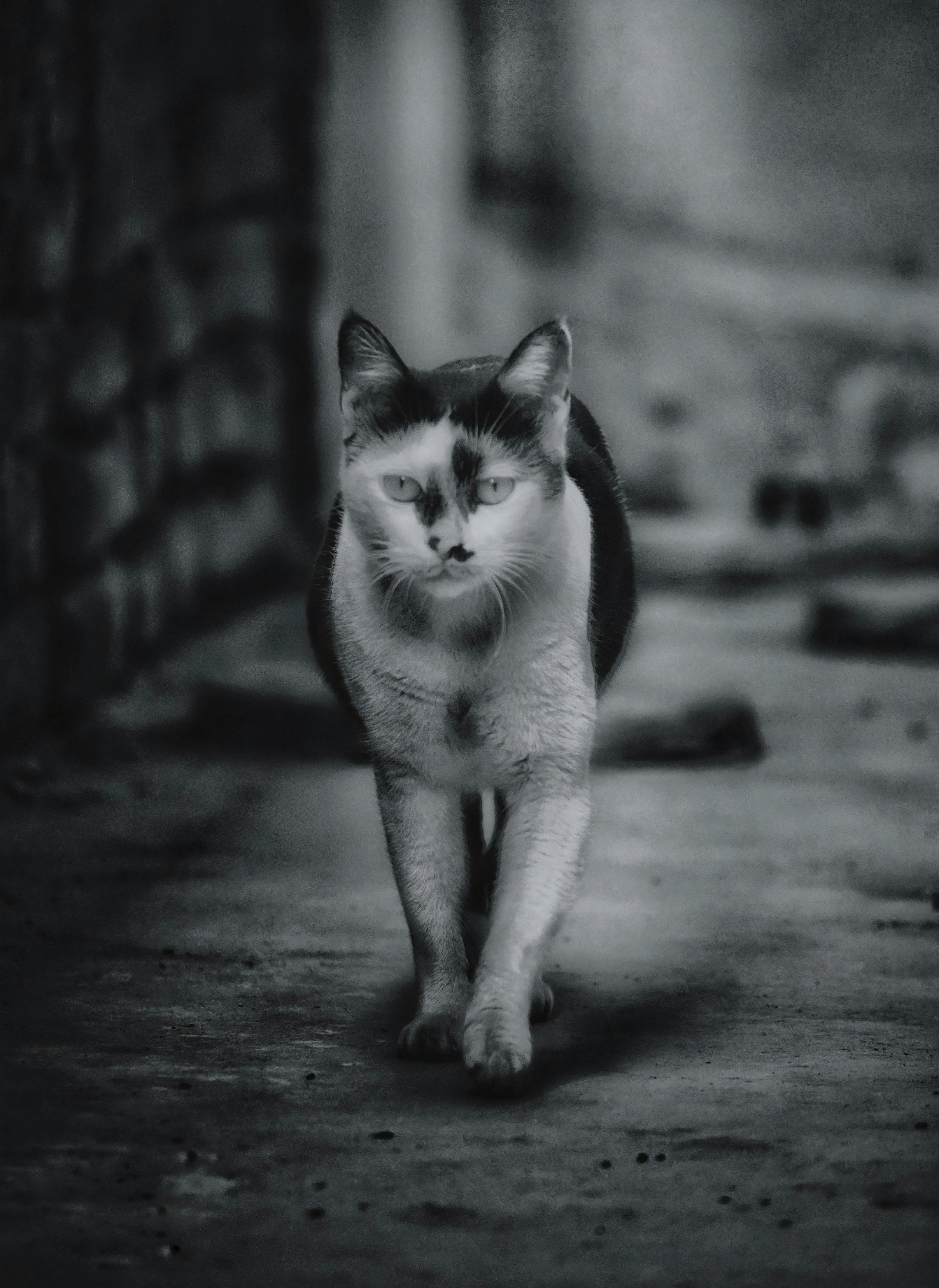 Photo by muhammad0_bilal_11