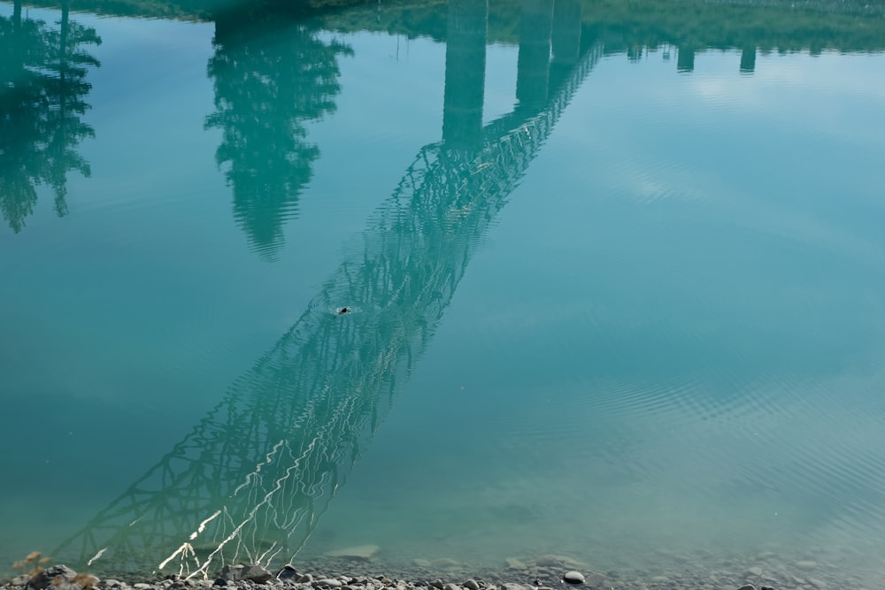 un pont à mailles losangées au-dessus d’un plan d’eau ;