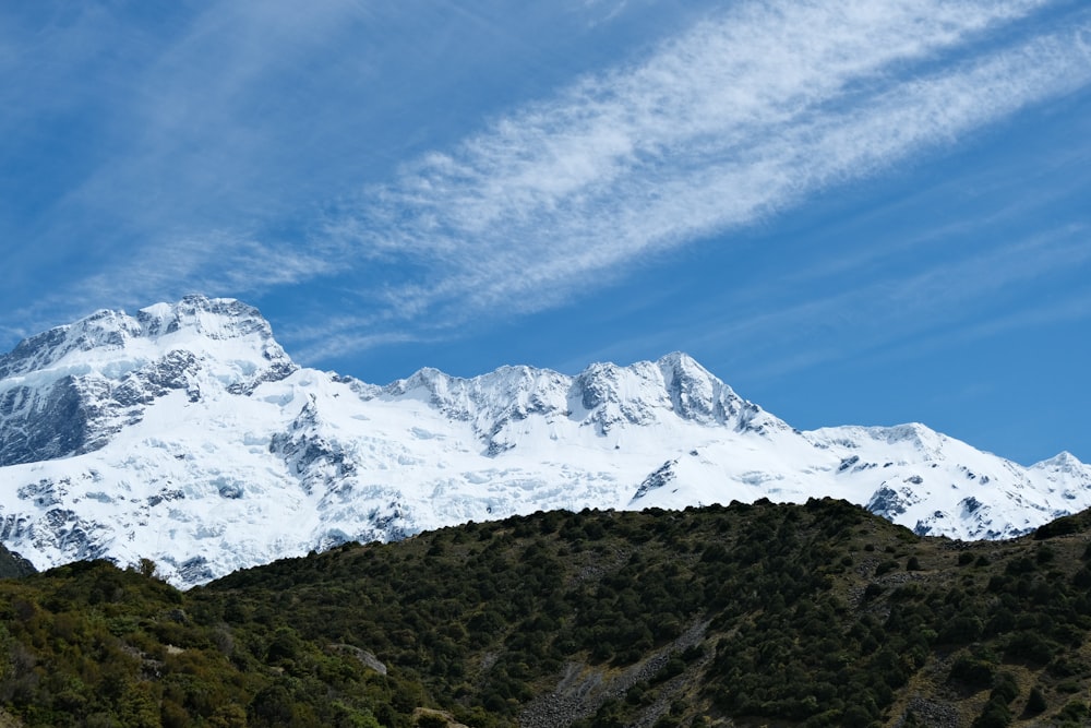 a mountain covered in snow and surrounded by trees