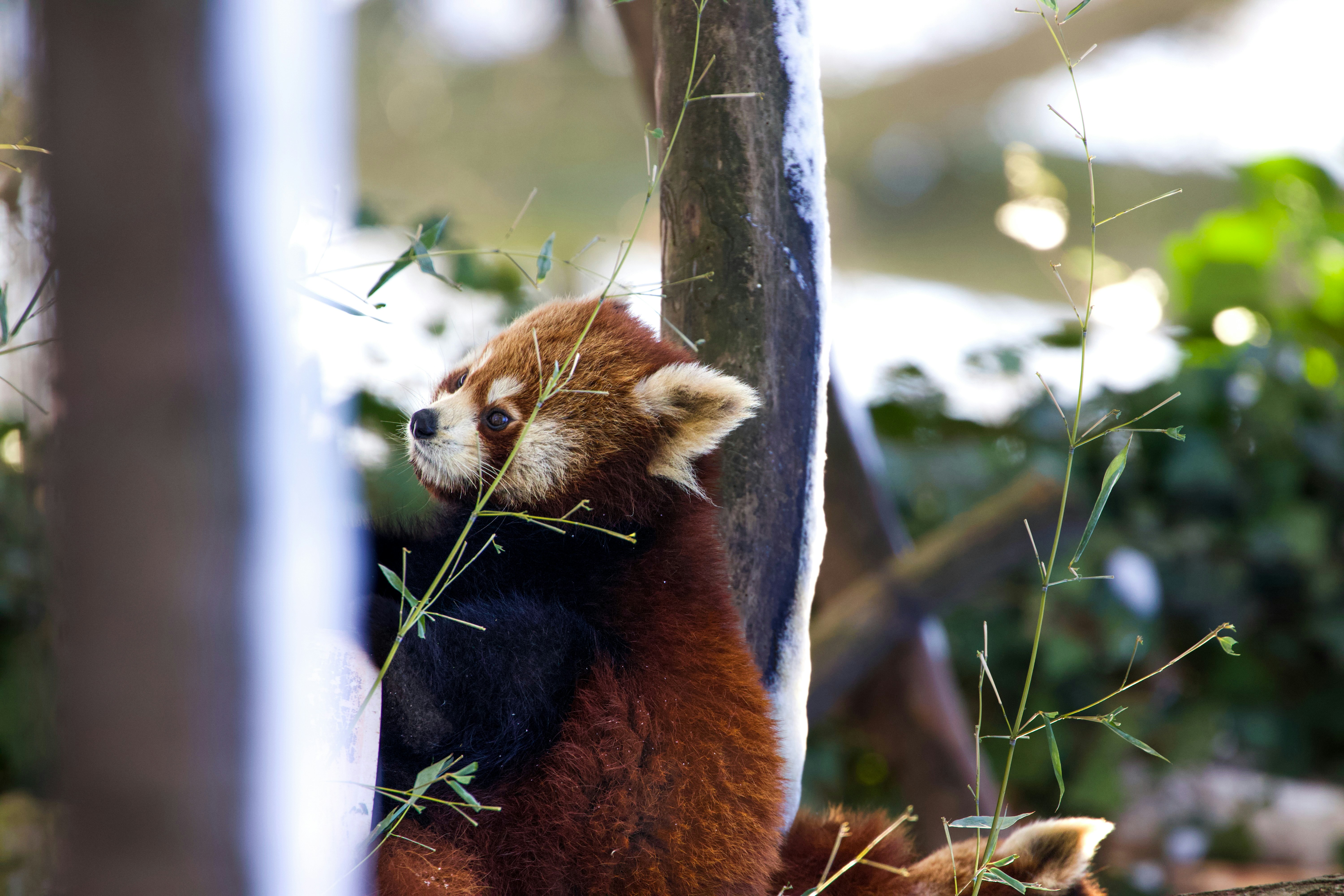 Photo by jakub_neskora