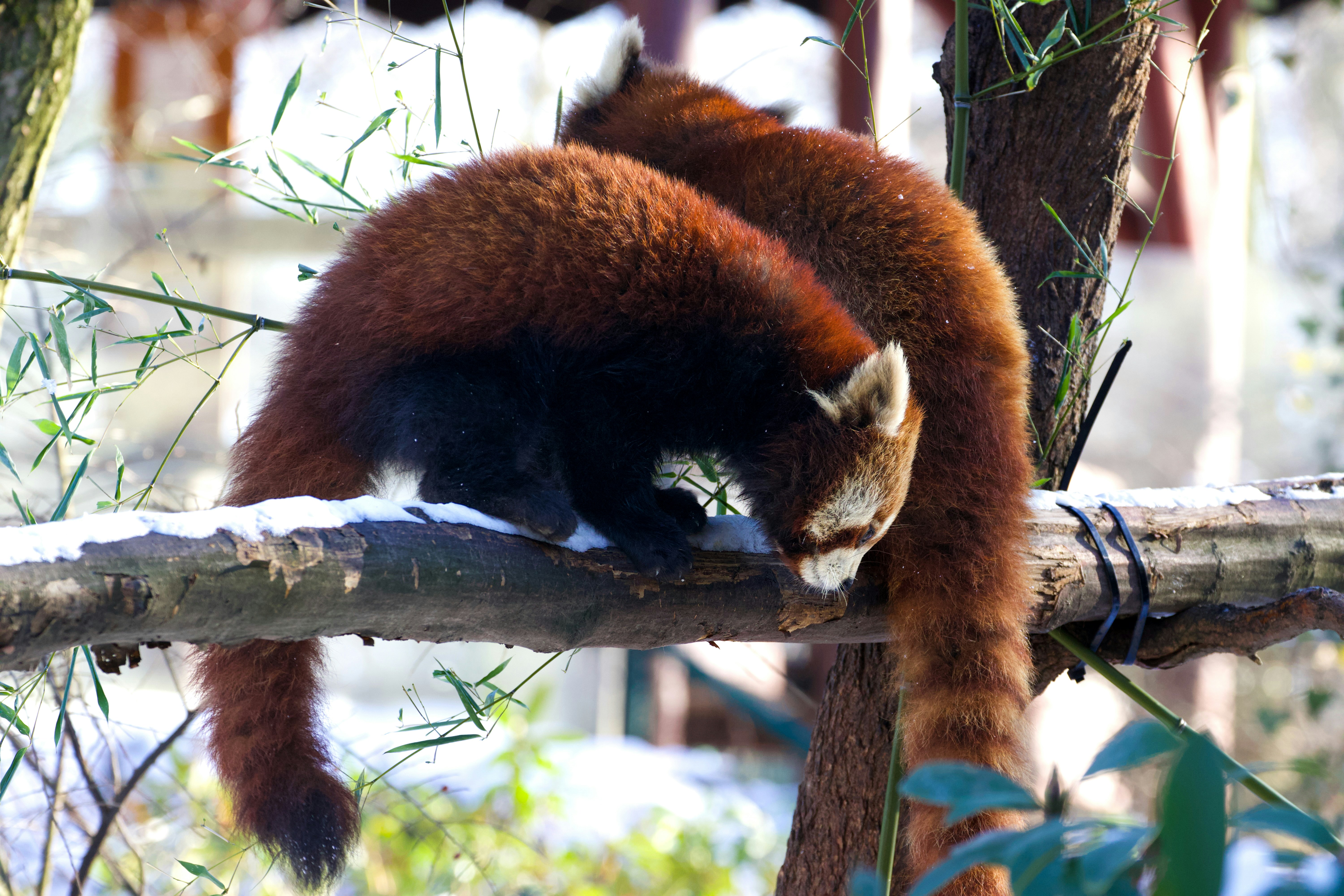 Photo by jakub_neskora