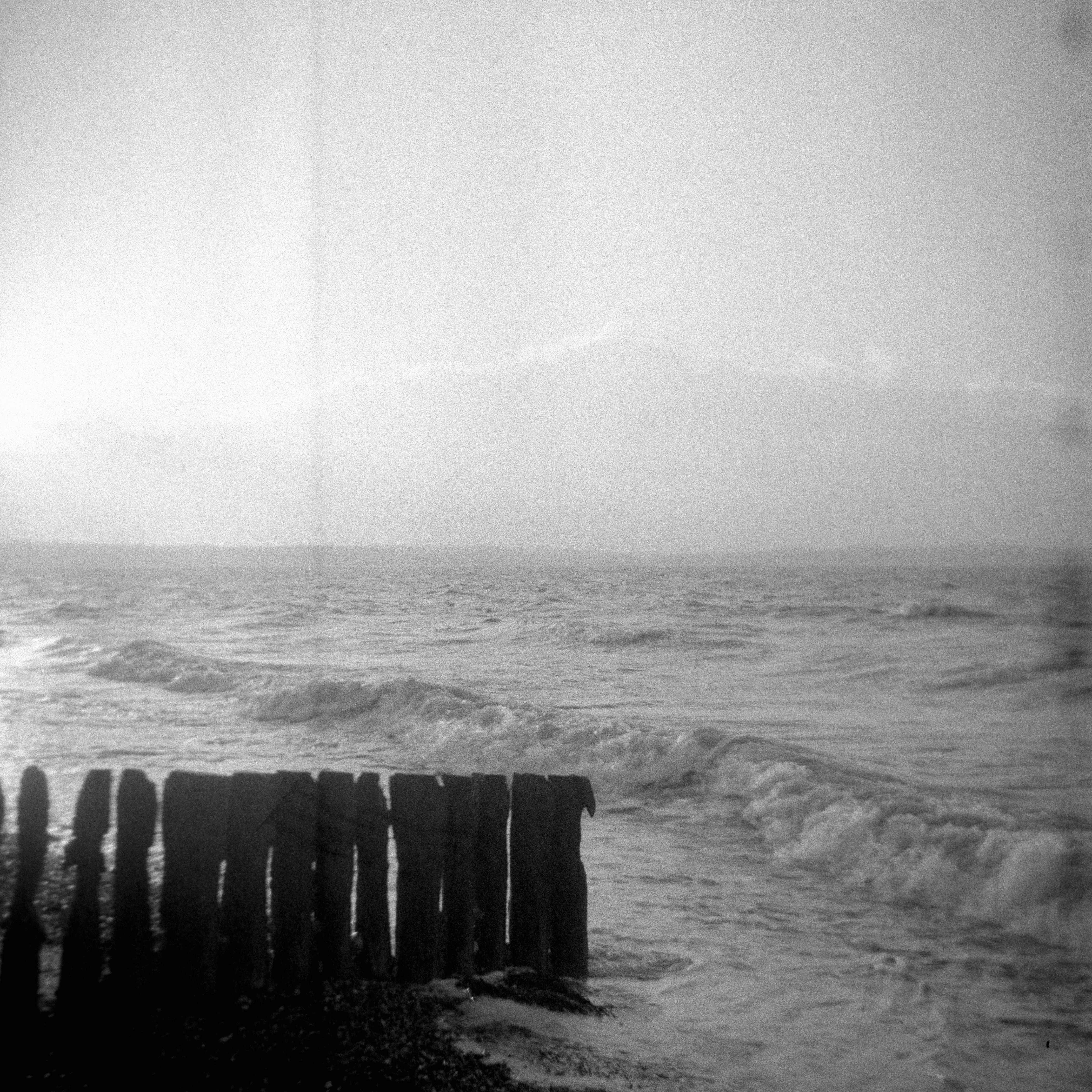 Photo by anniespratt