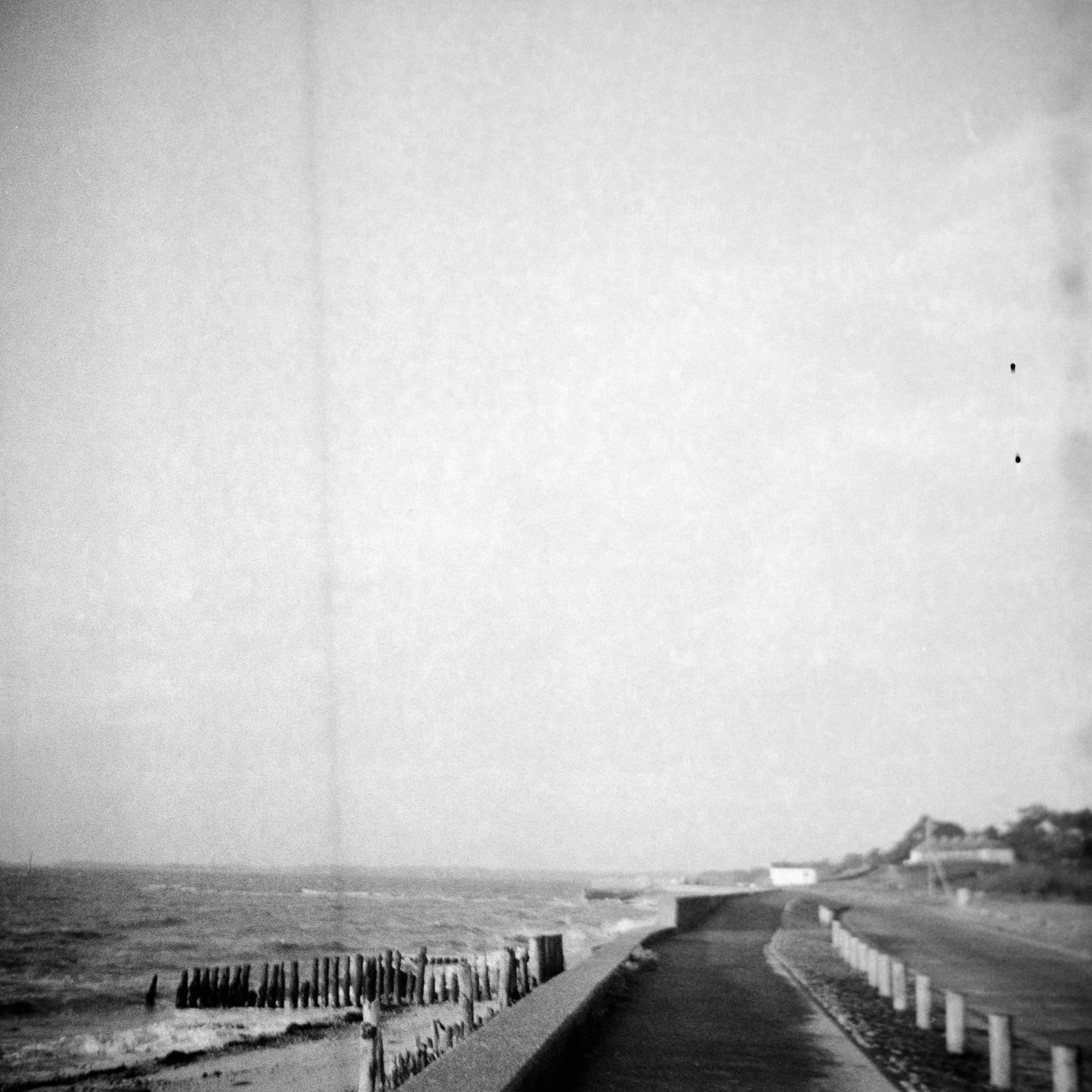 Photo by anniespratt