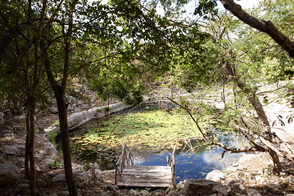 a small wooden bridge over a small pond