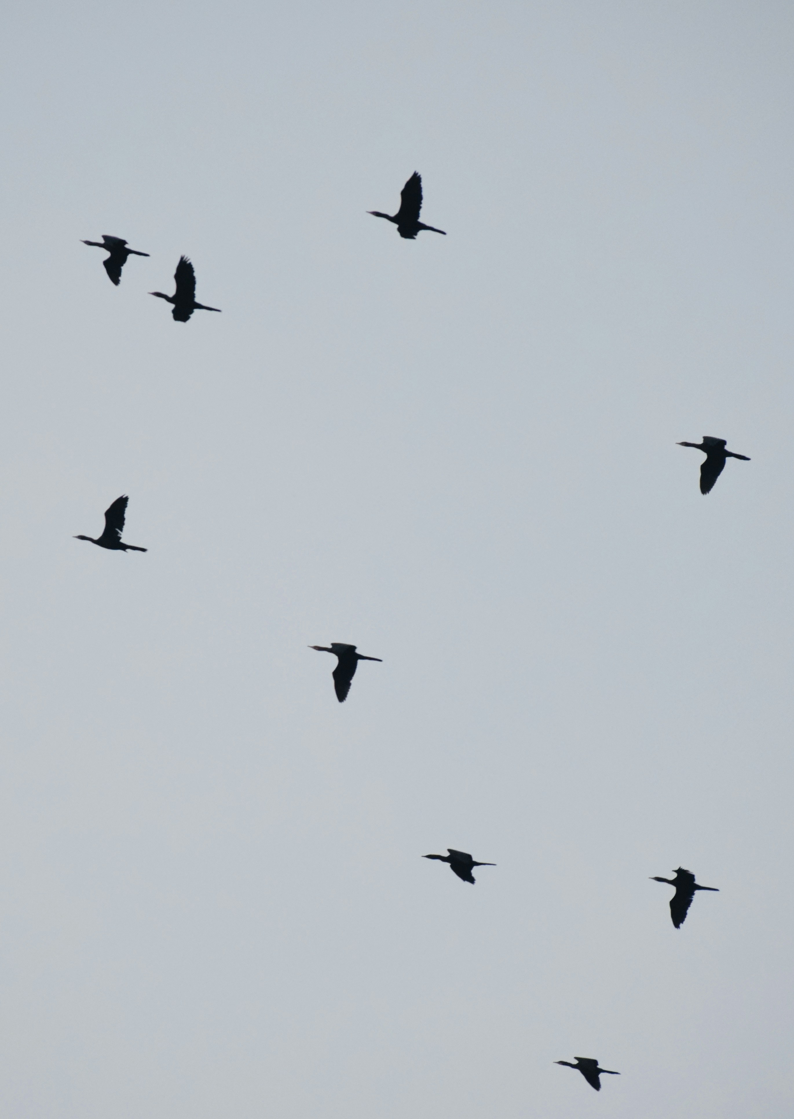 Photo by theushakiran