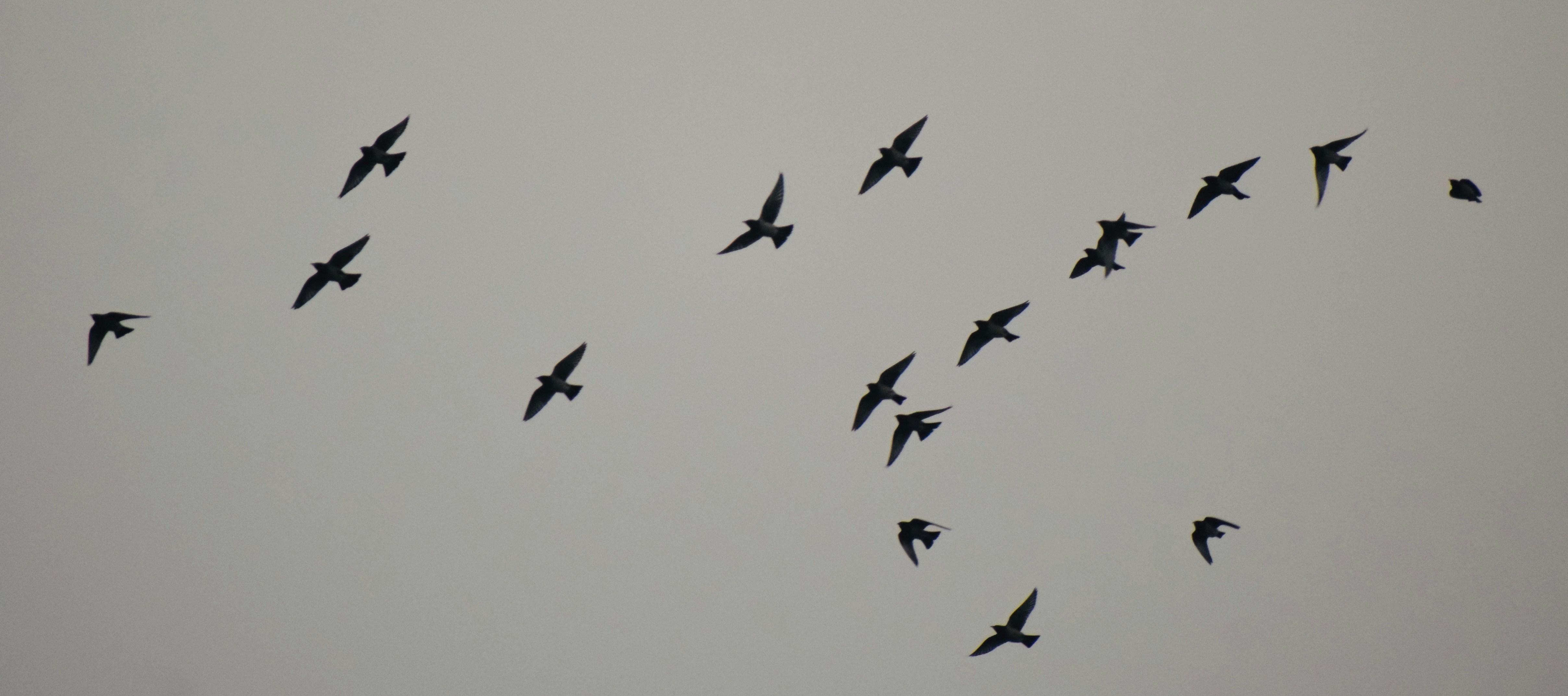 Photo by theushakiran