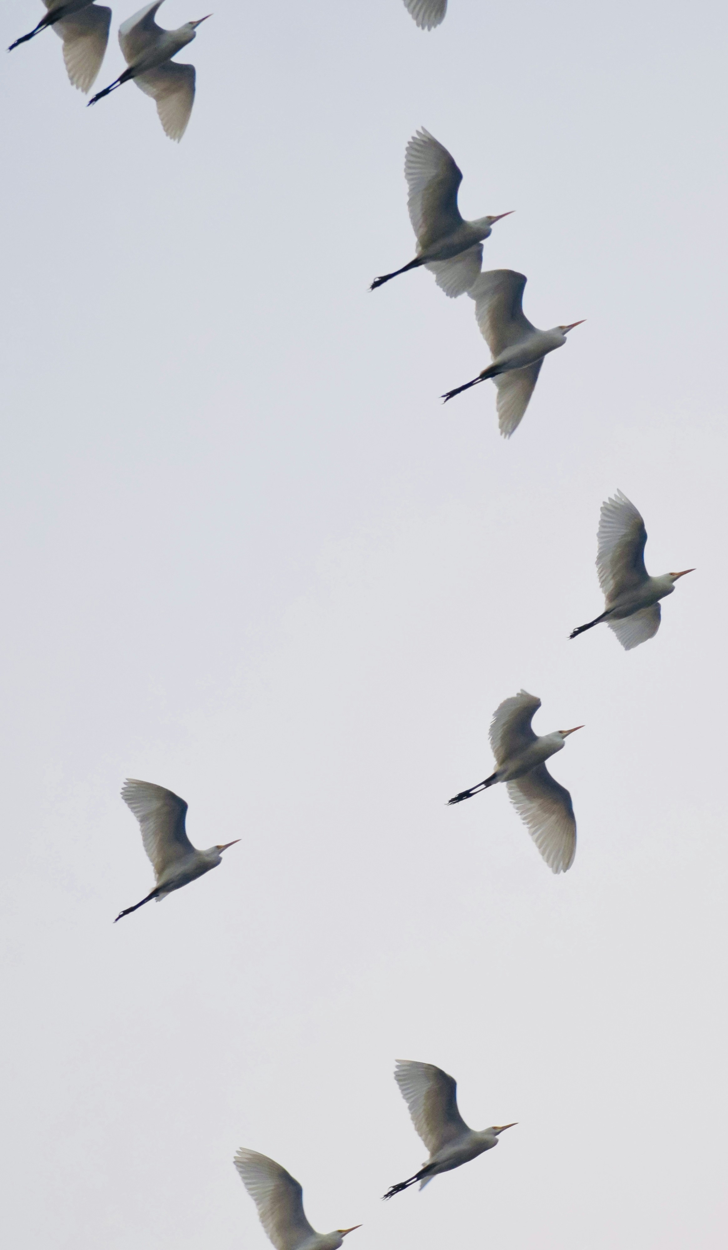 Photo by theushakiran