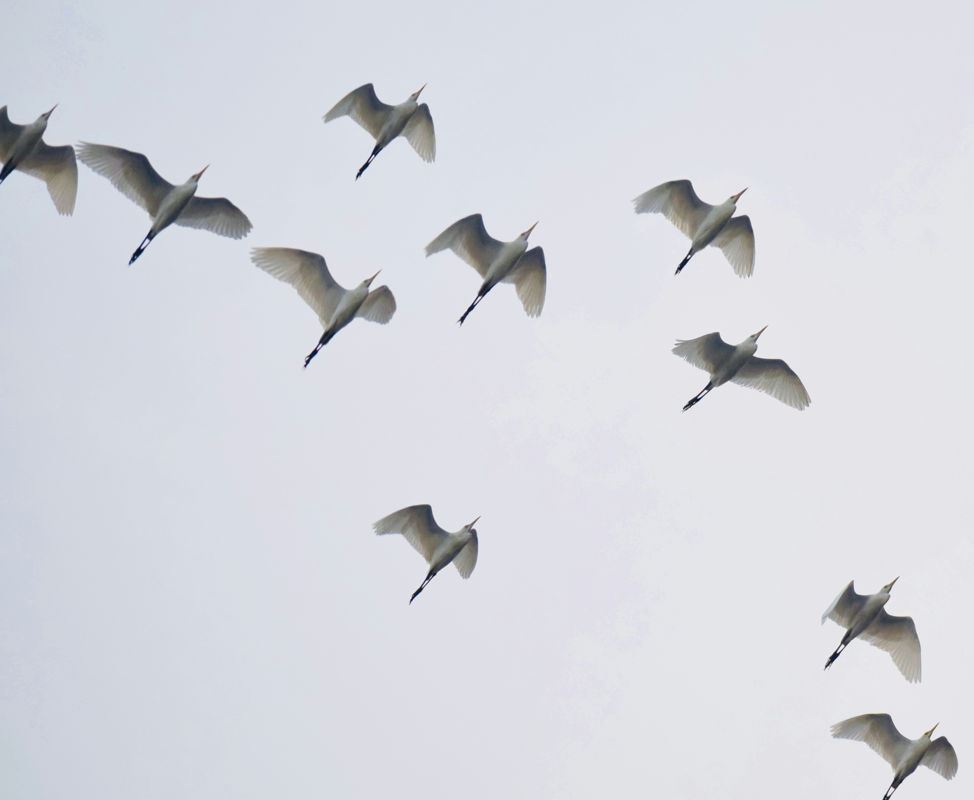 Photo by theushakiran