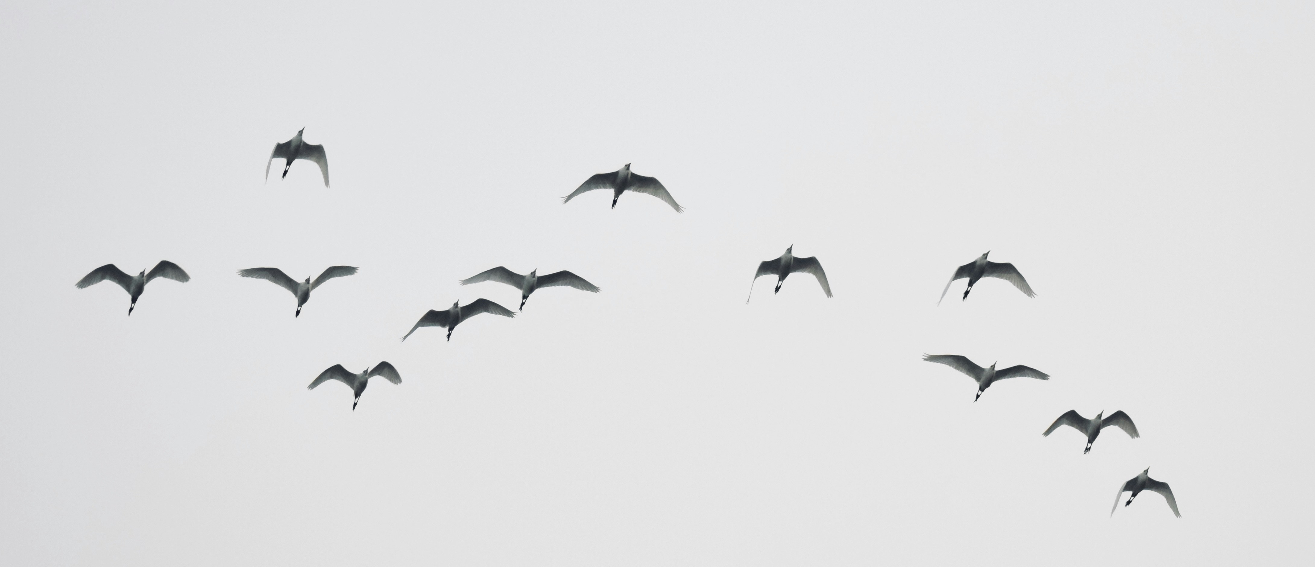 Photo by theushakiran