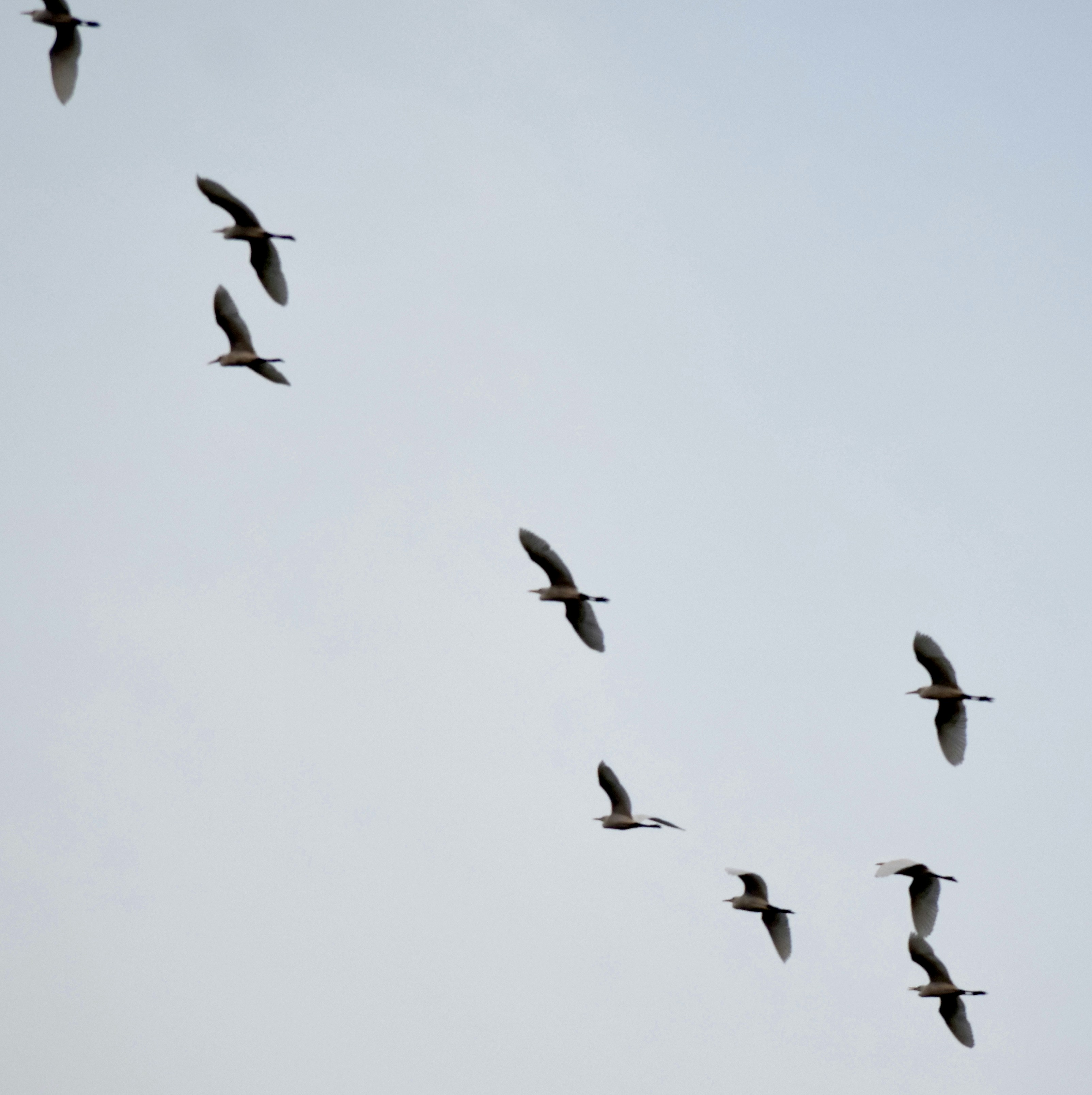 Photo by theushakiran