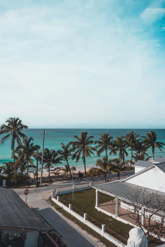 Beachfront town on Bimini, Bahamas, with palm trees and turquoise water