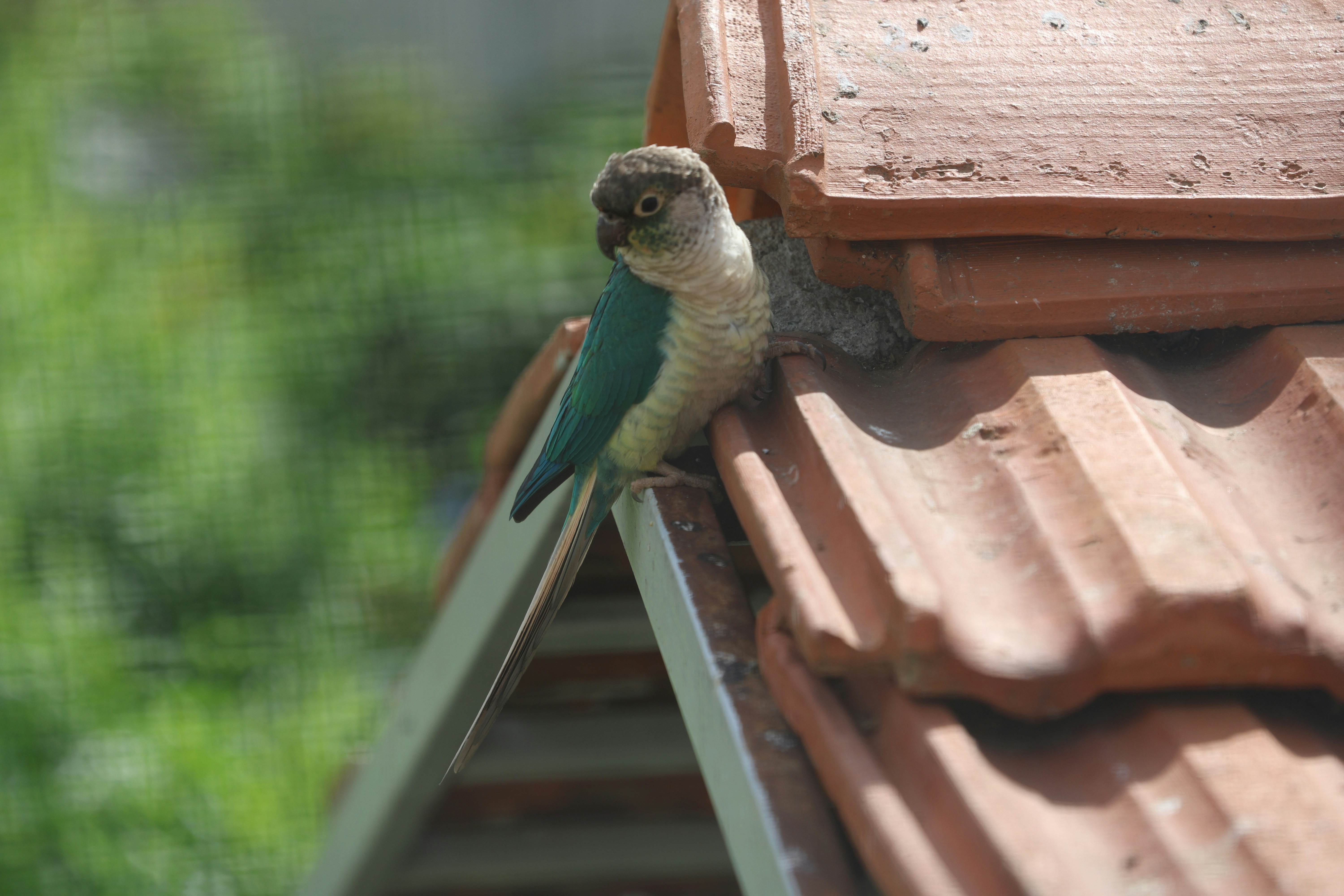 Photo by venkat_meta