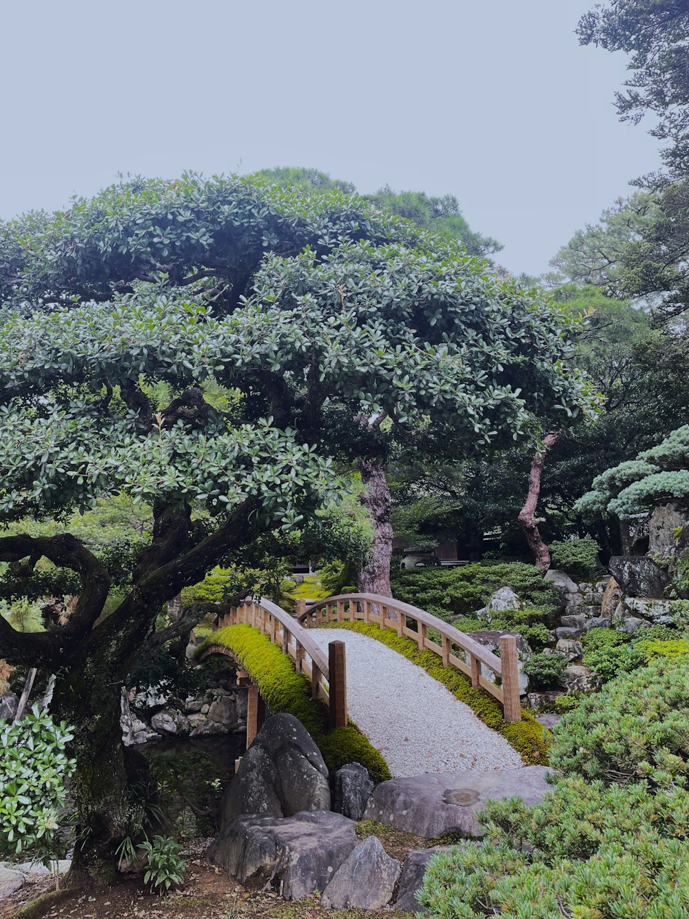 a small bridge over a small pond in a garden