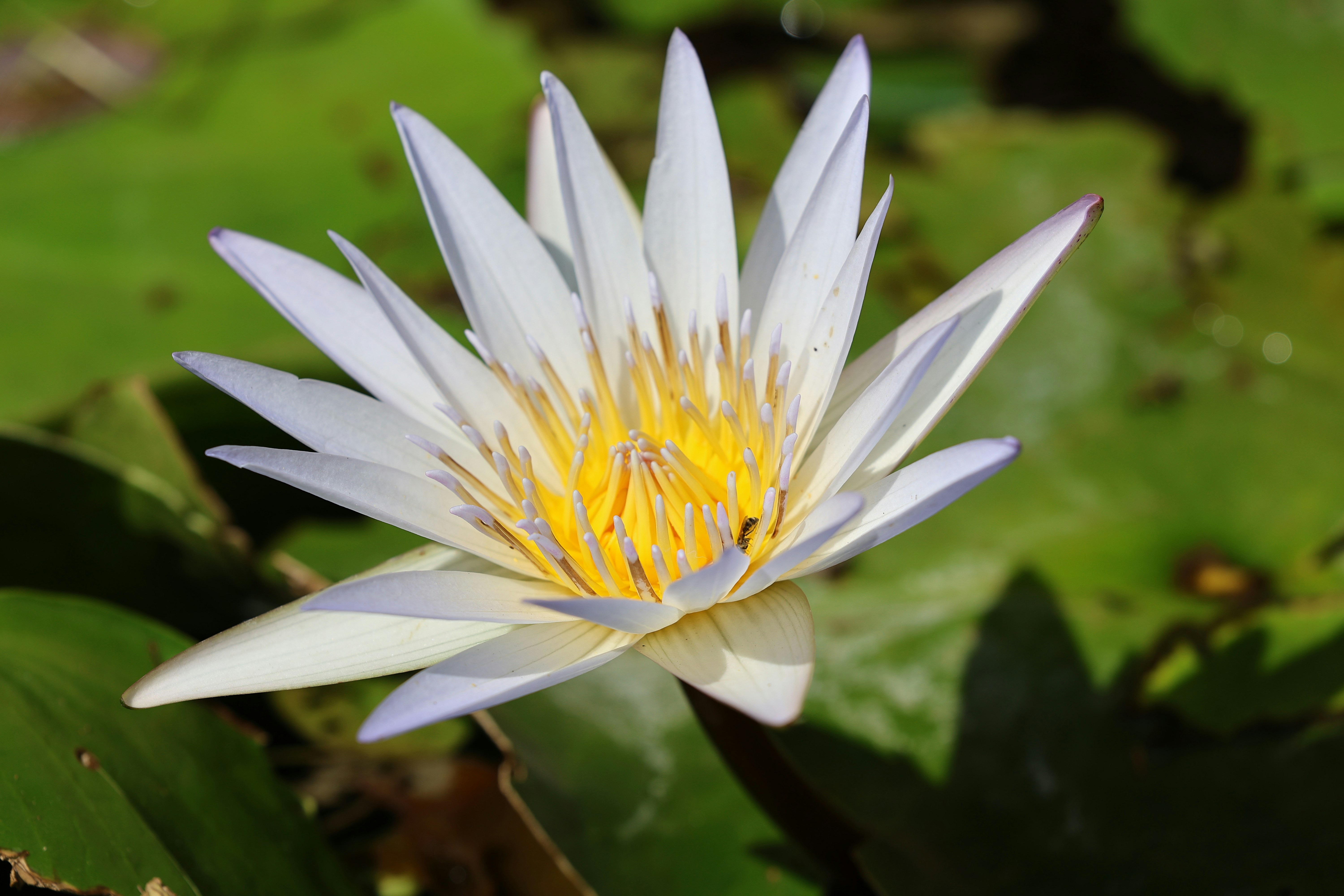 Photo by venkat_meta