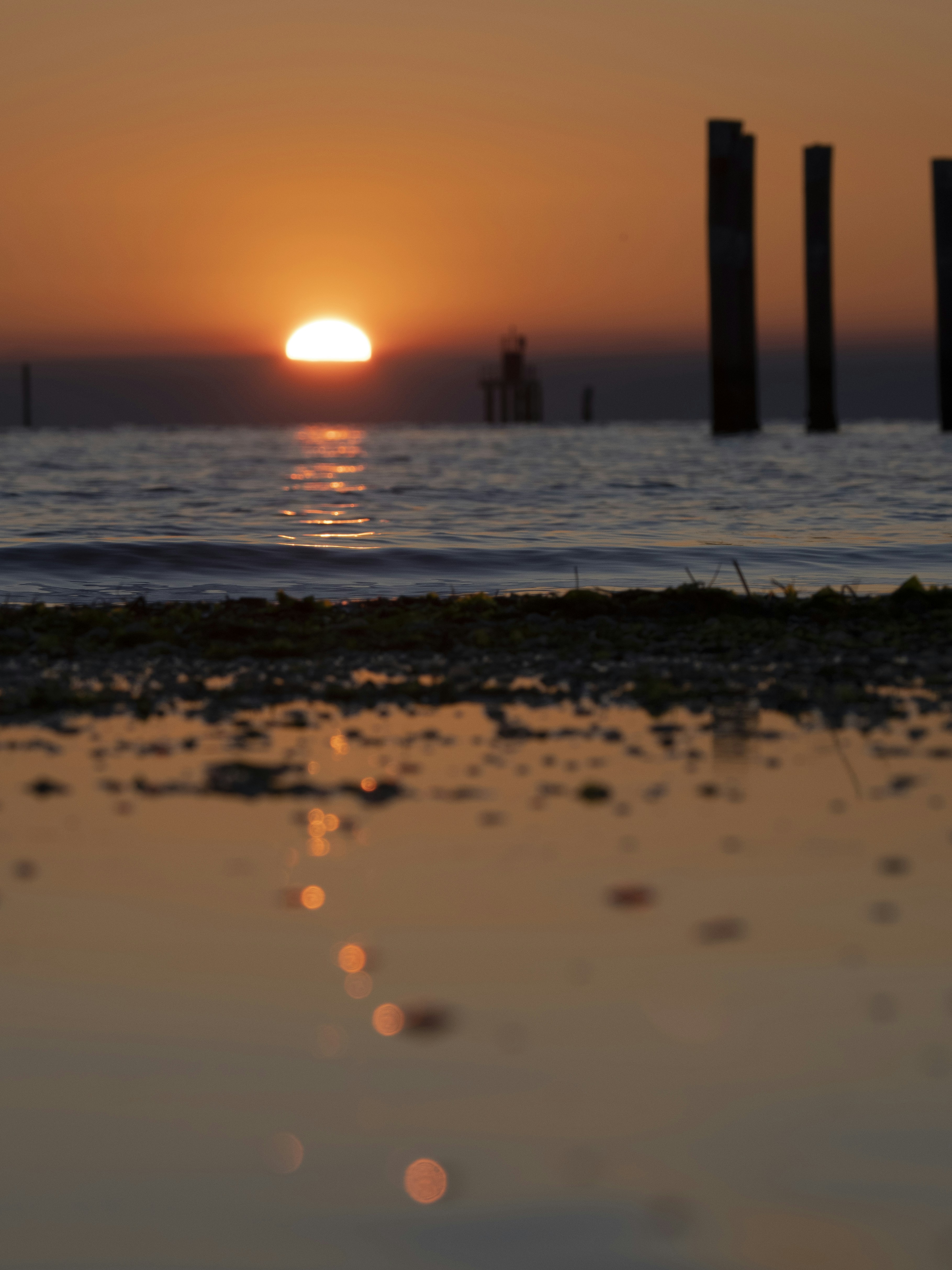 Photo by gopitri_prem